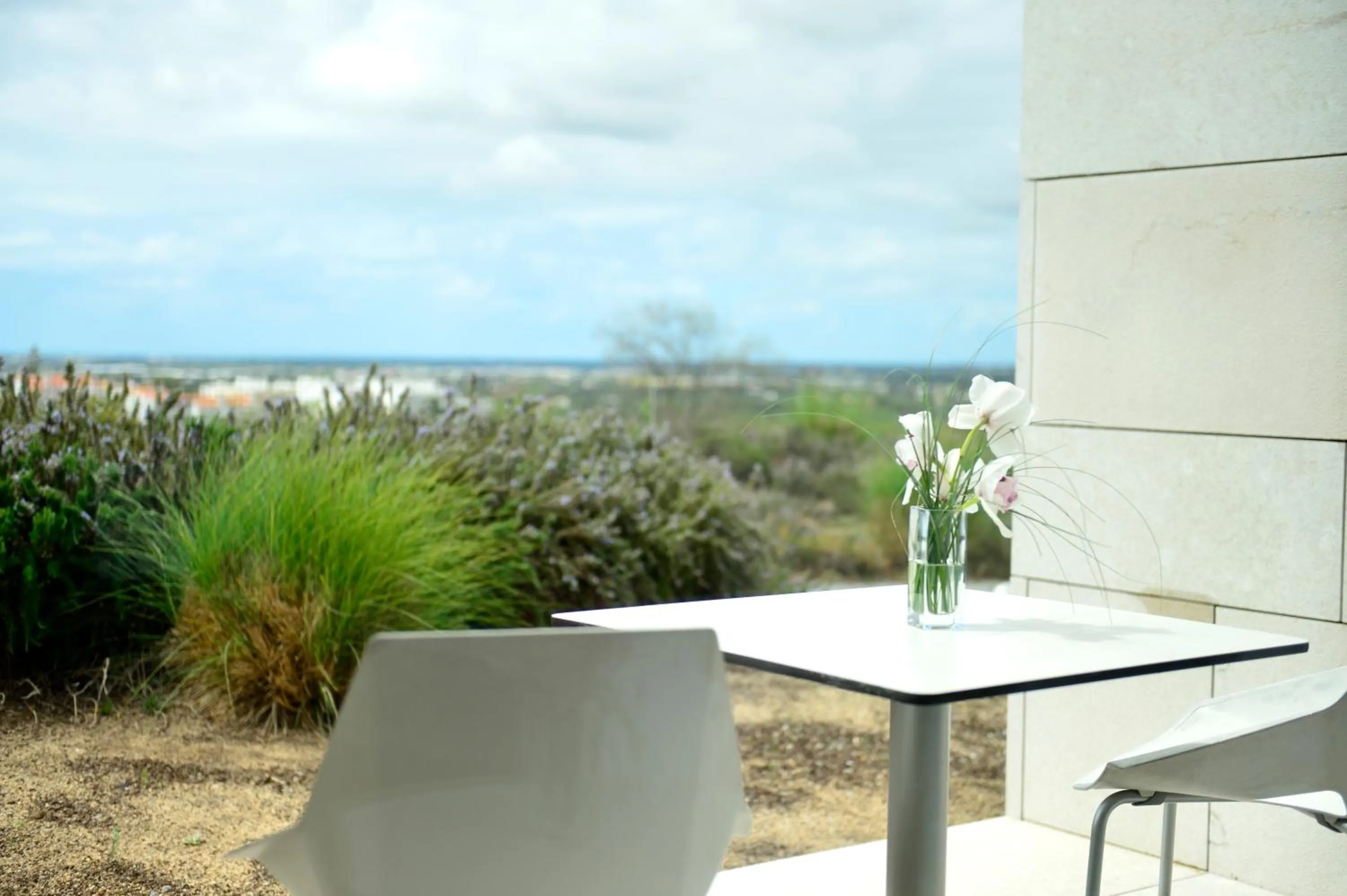 View (from property/room) in Pousada Palacio de Estoi – Small Luxury Hotels of the World