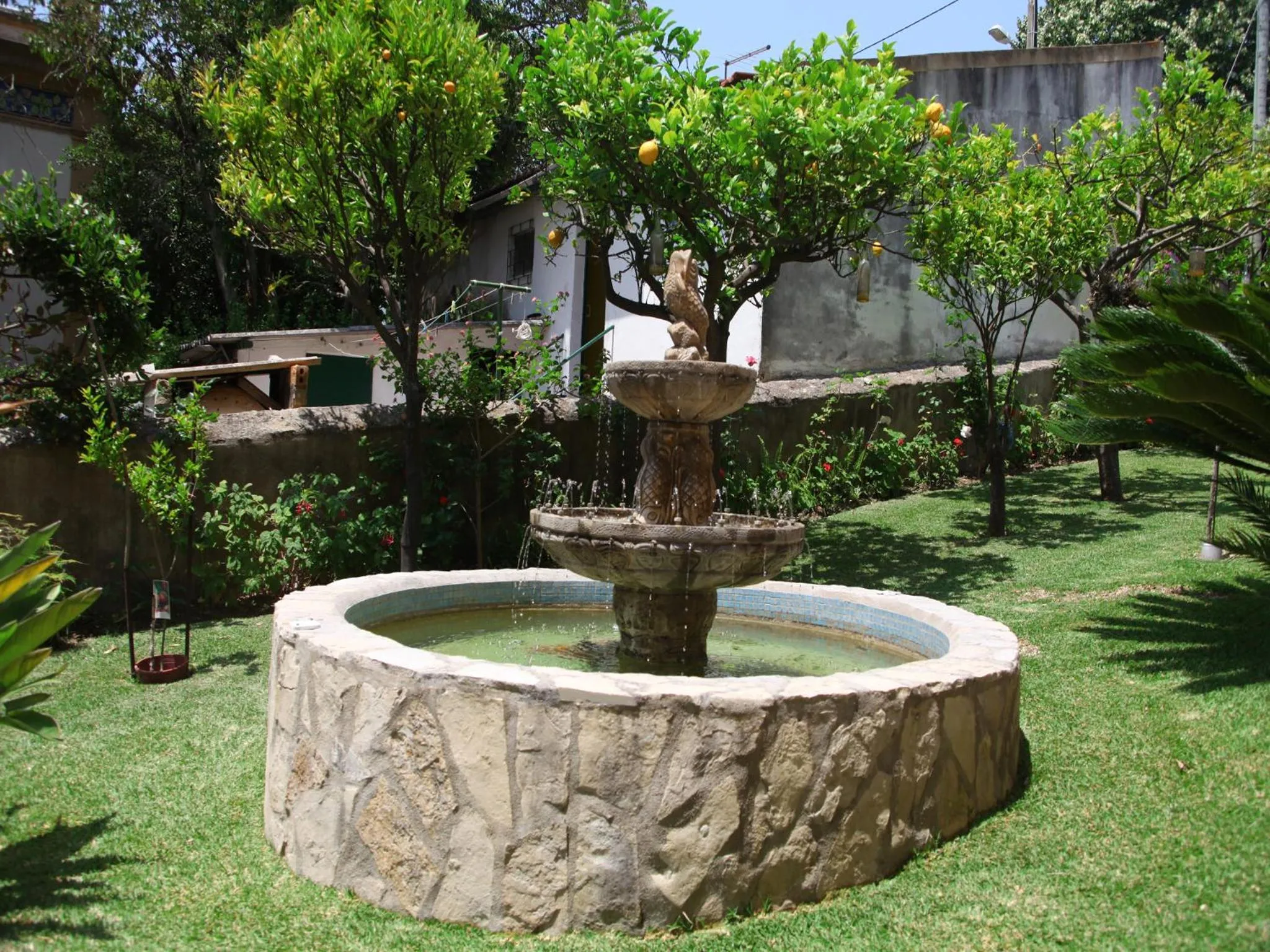 Garden in Hotel Smart