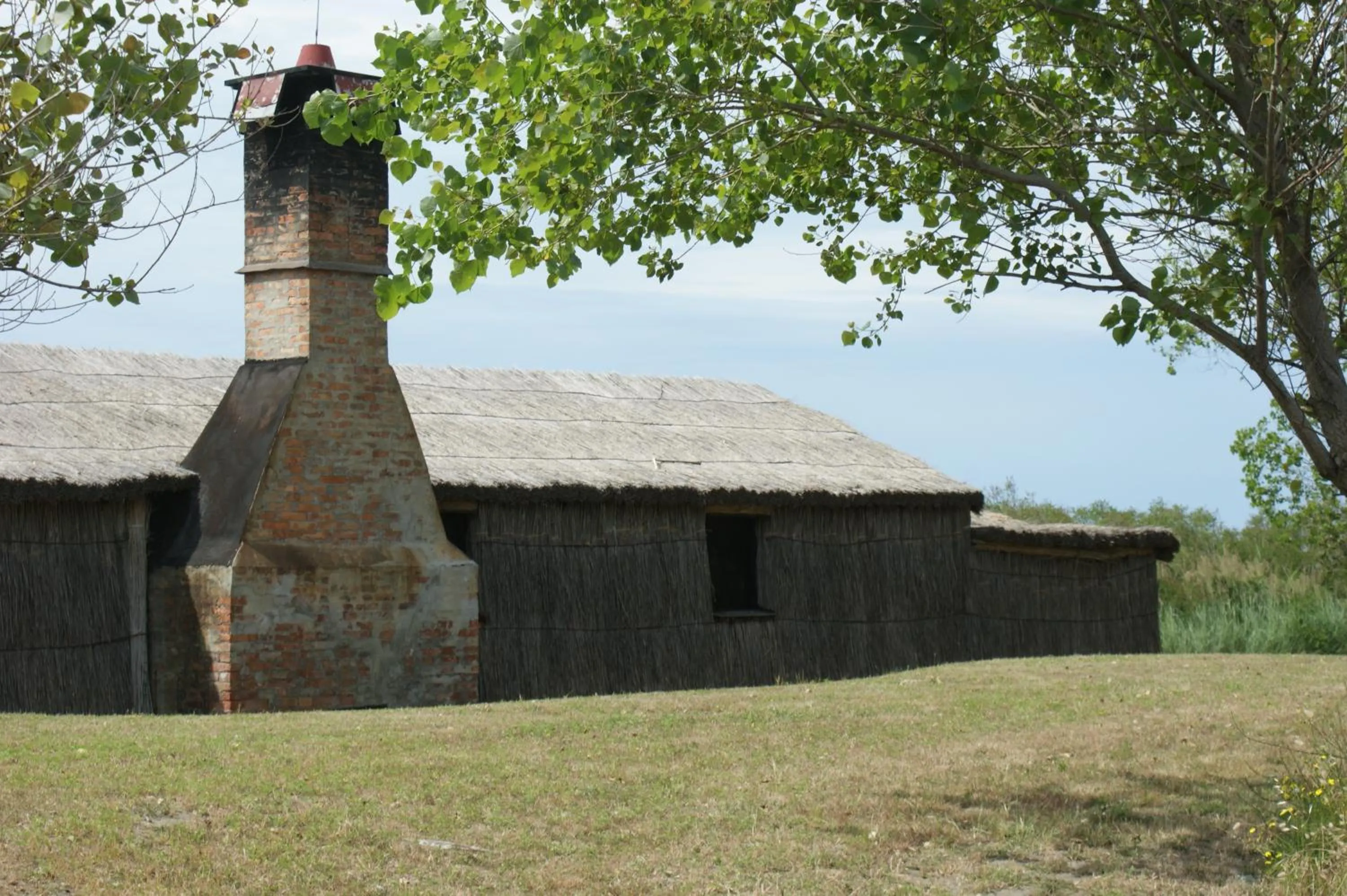 Natural landscape in Hotel Tessarin