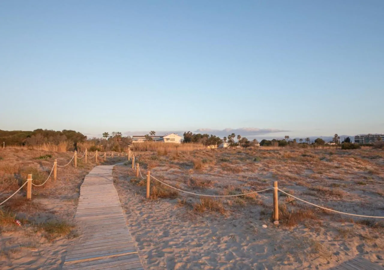Property building, Beach in Hotel Els Arenals