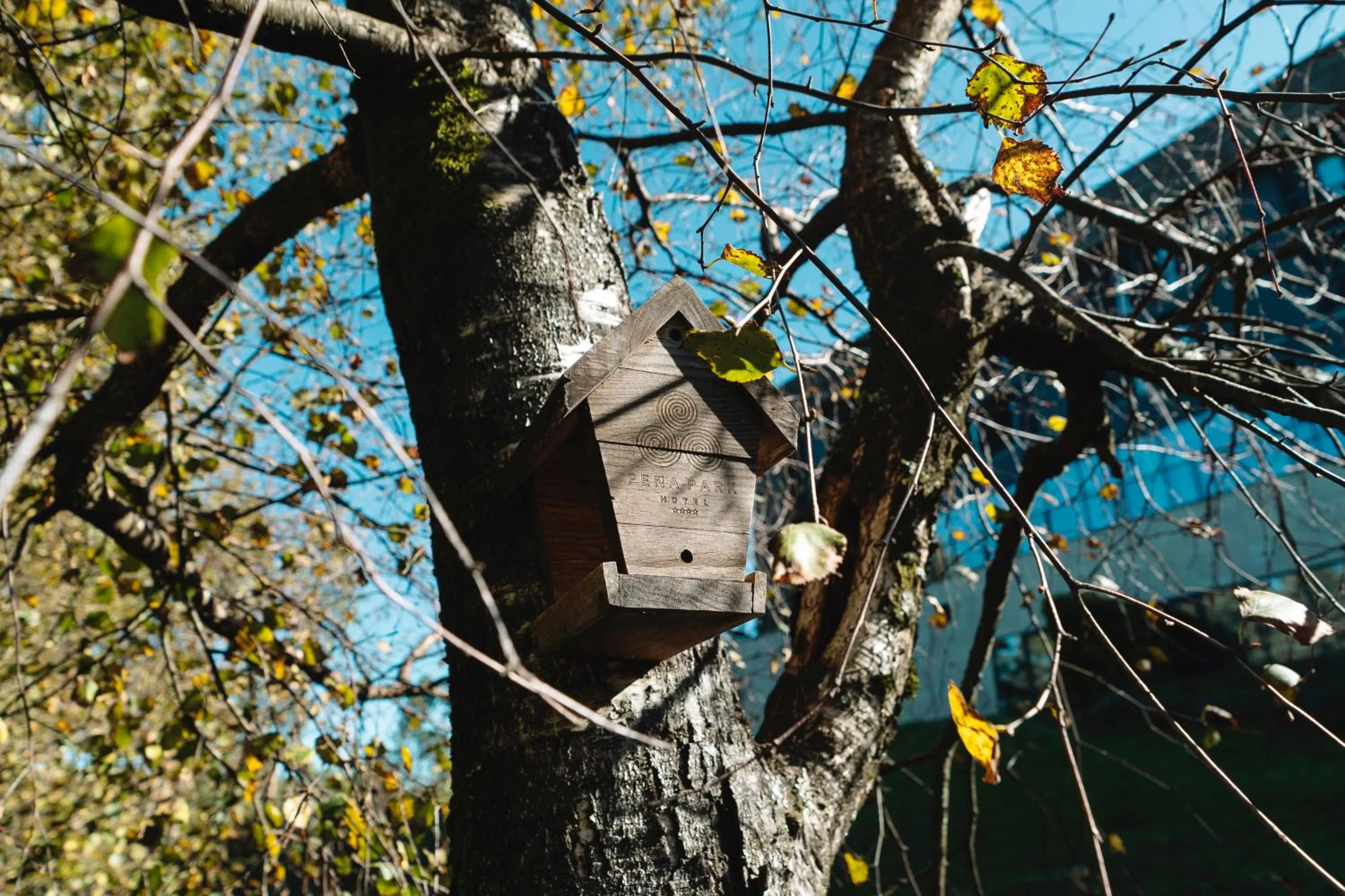 Off site in Pena Park Hotel