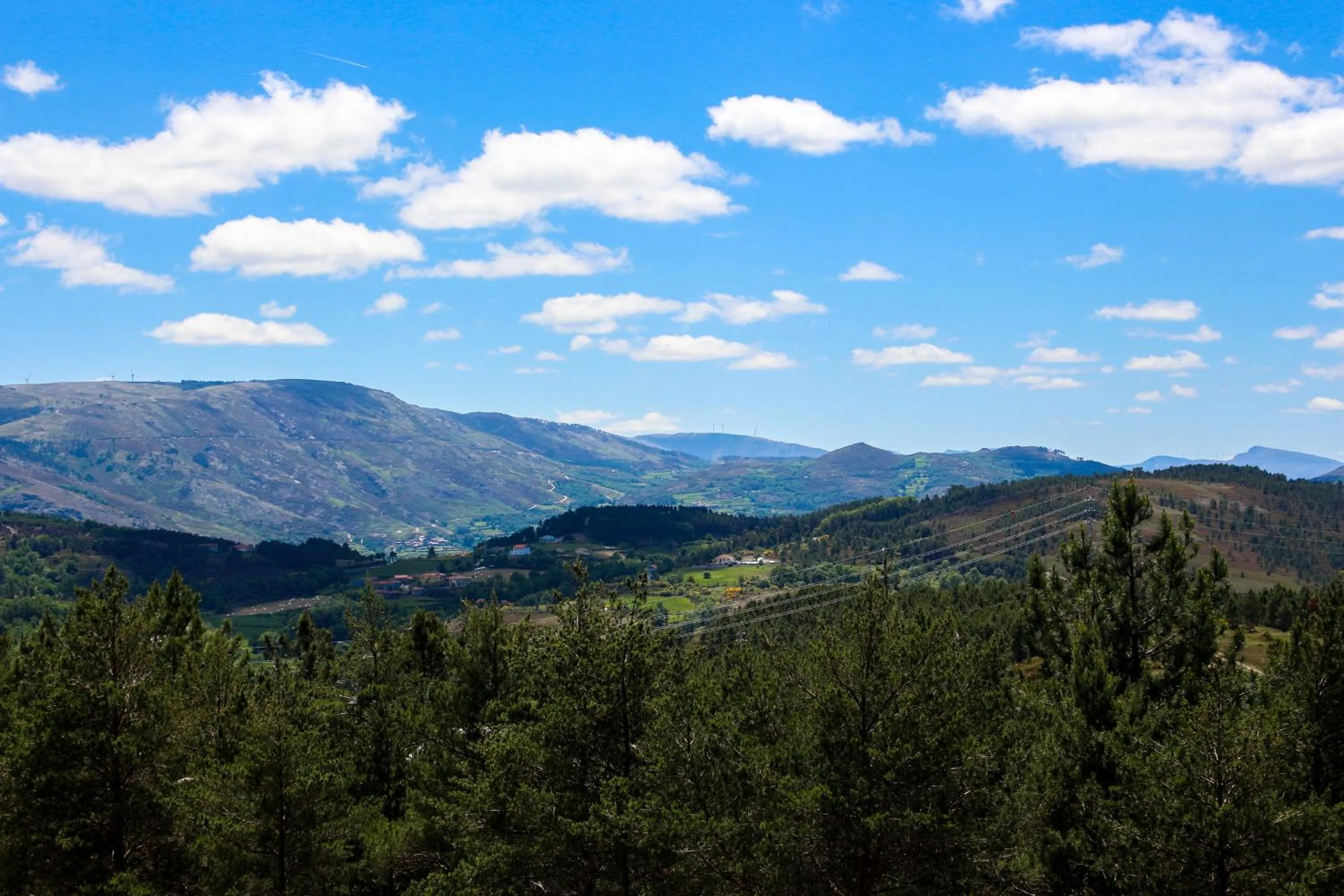 Natural landscape in Pena Park Hotel