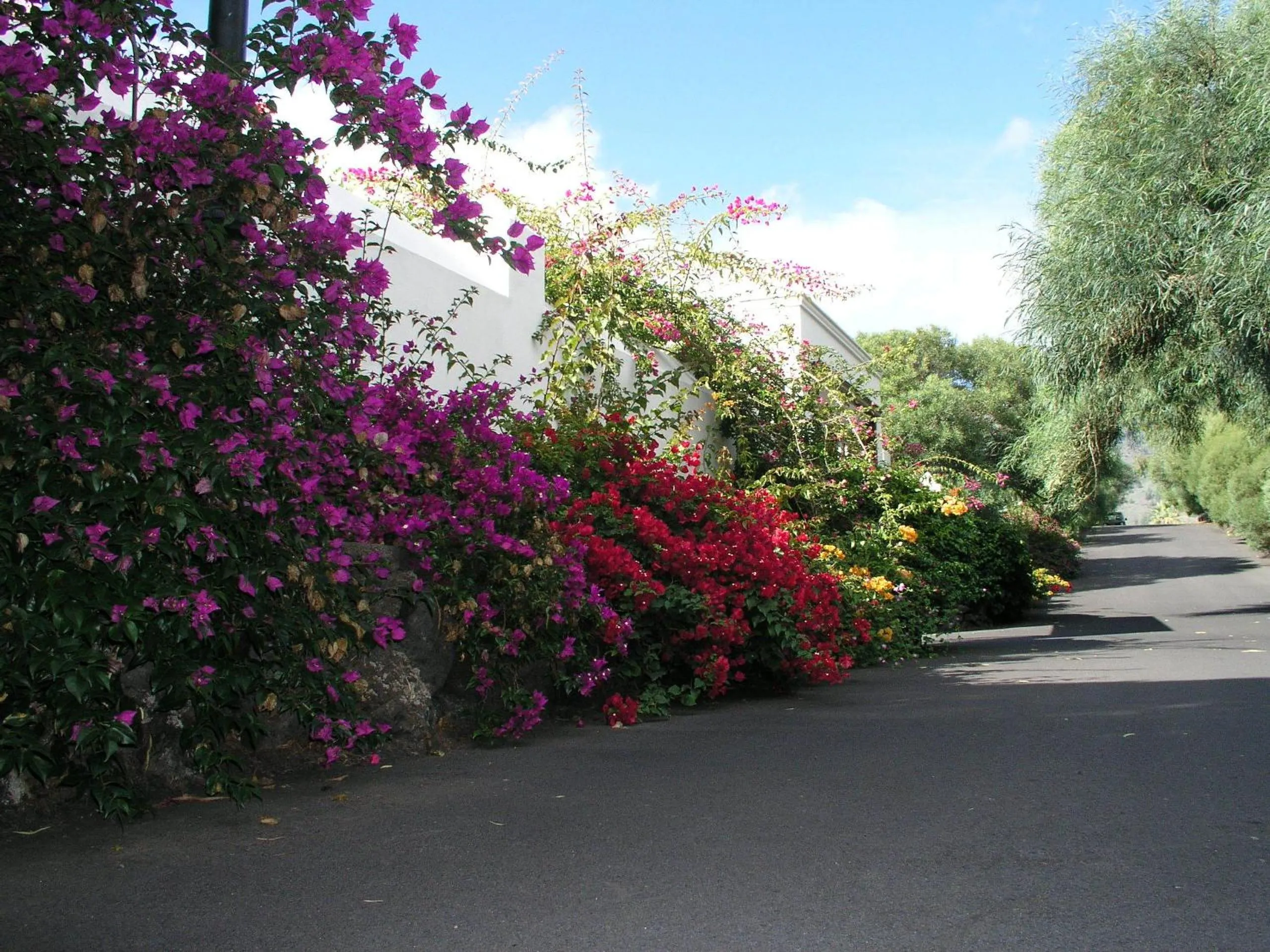 Area and facilities in La Villa