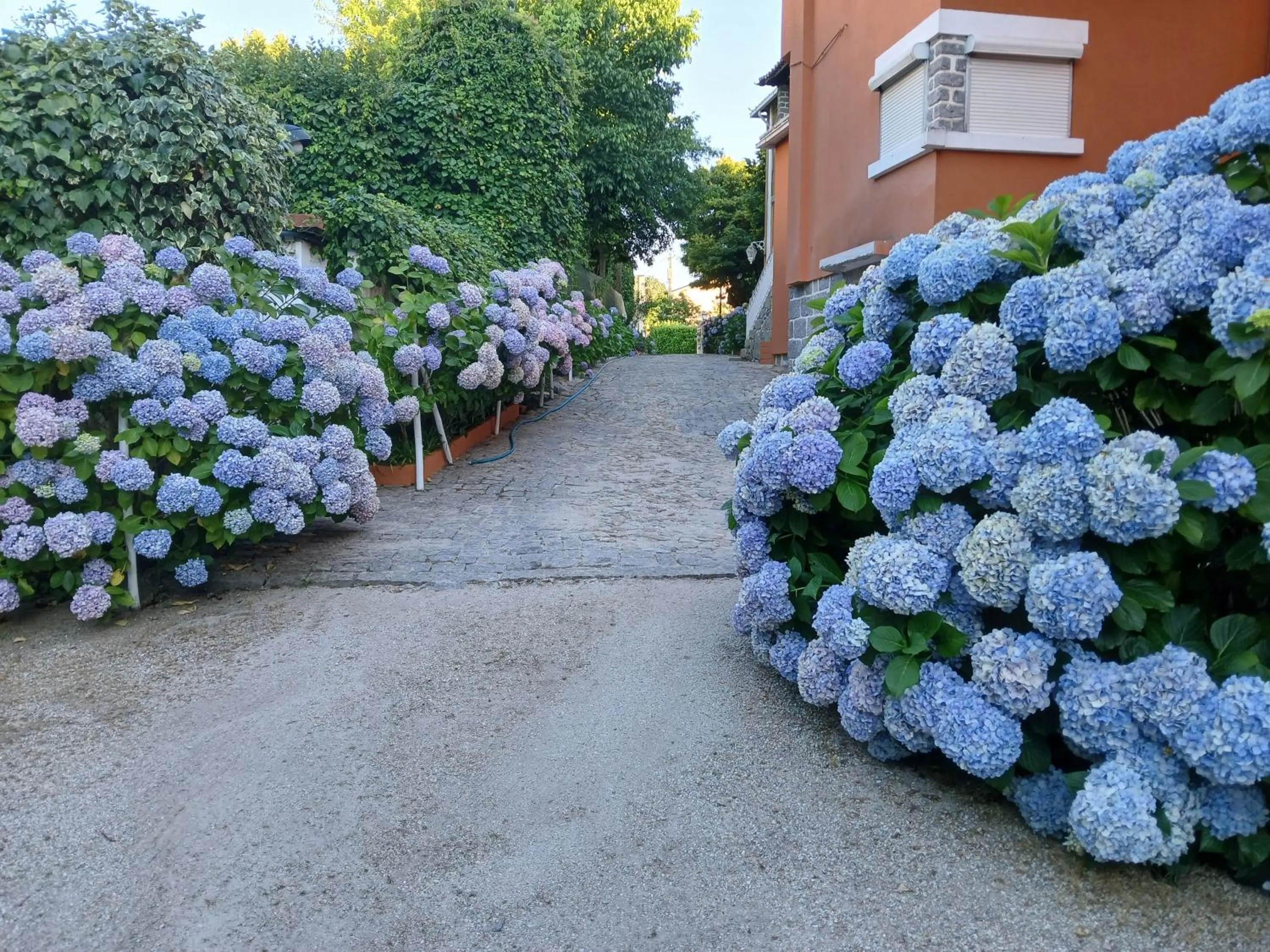 Corredoura Garden