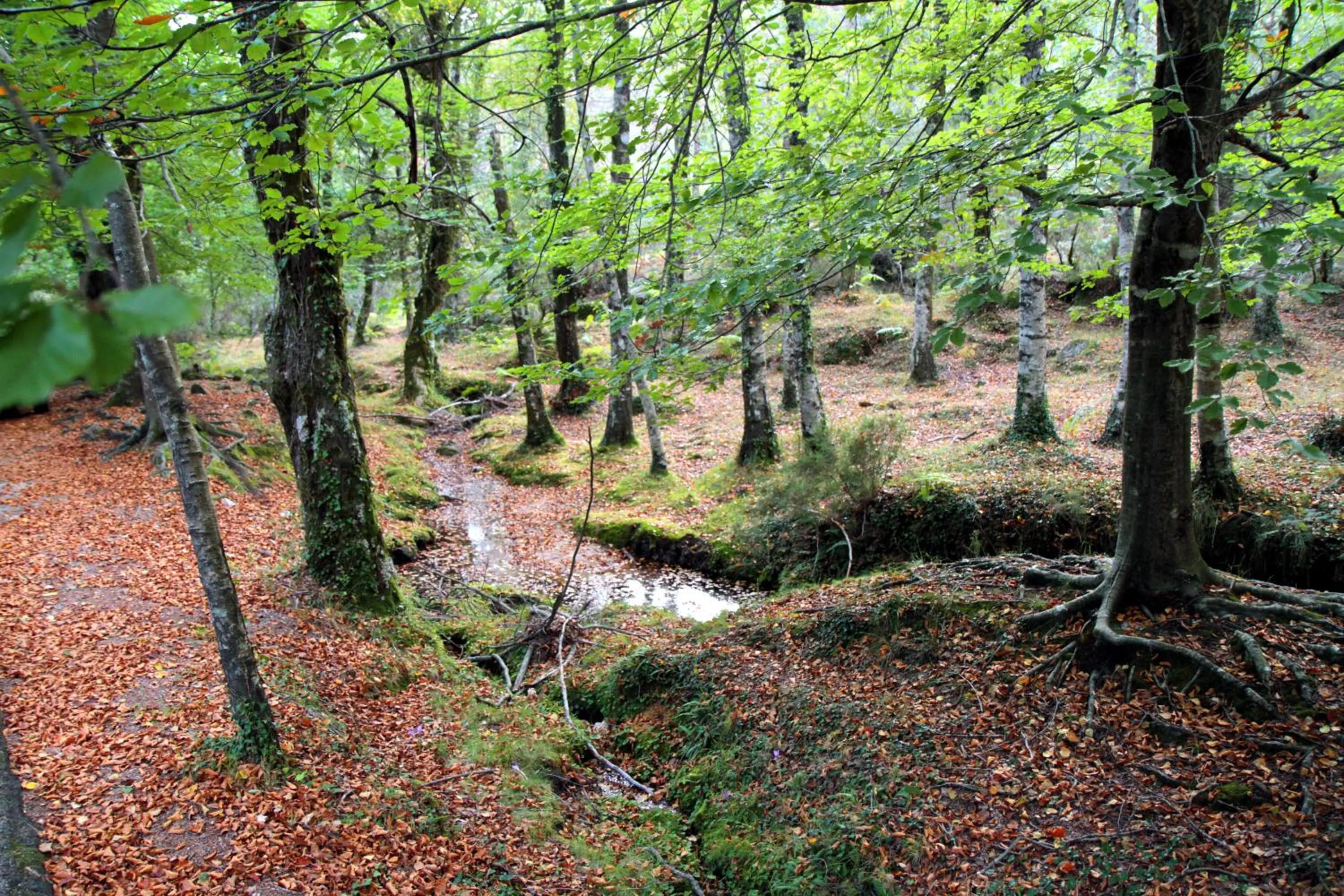 Natural landscape in Hotel Eco Salvador