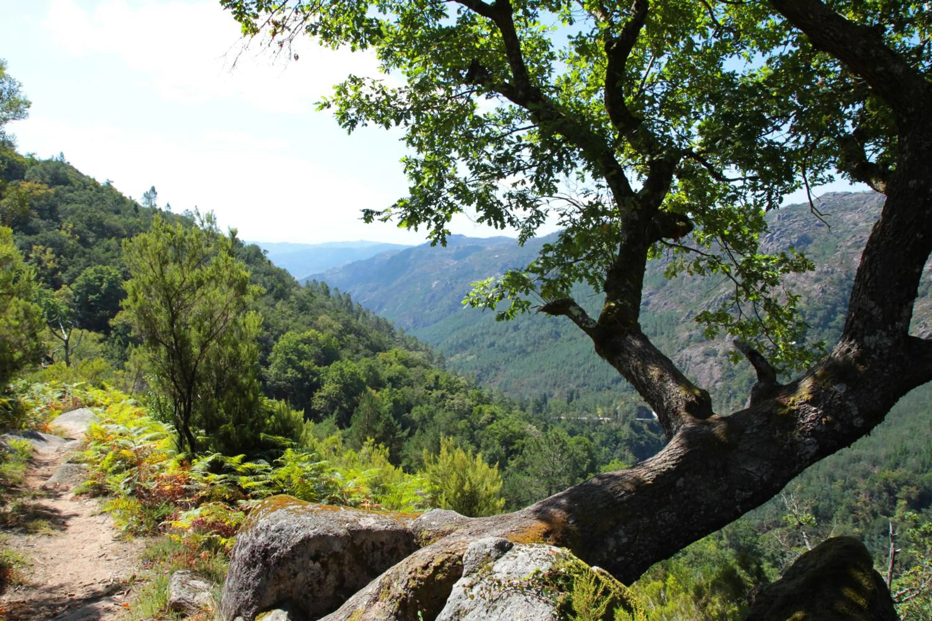 Natural landscape in Hotel Eco Salvador