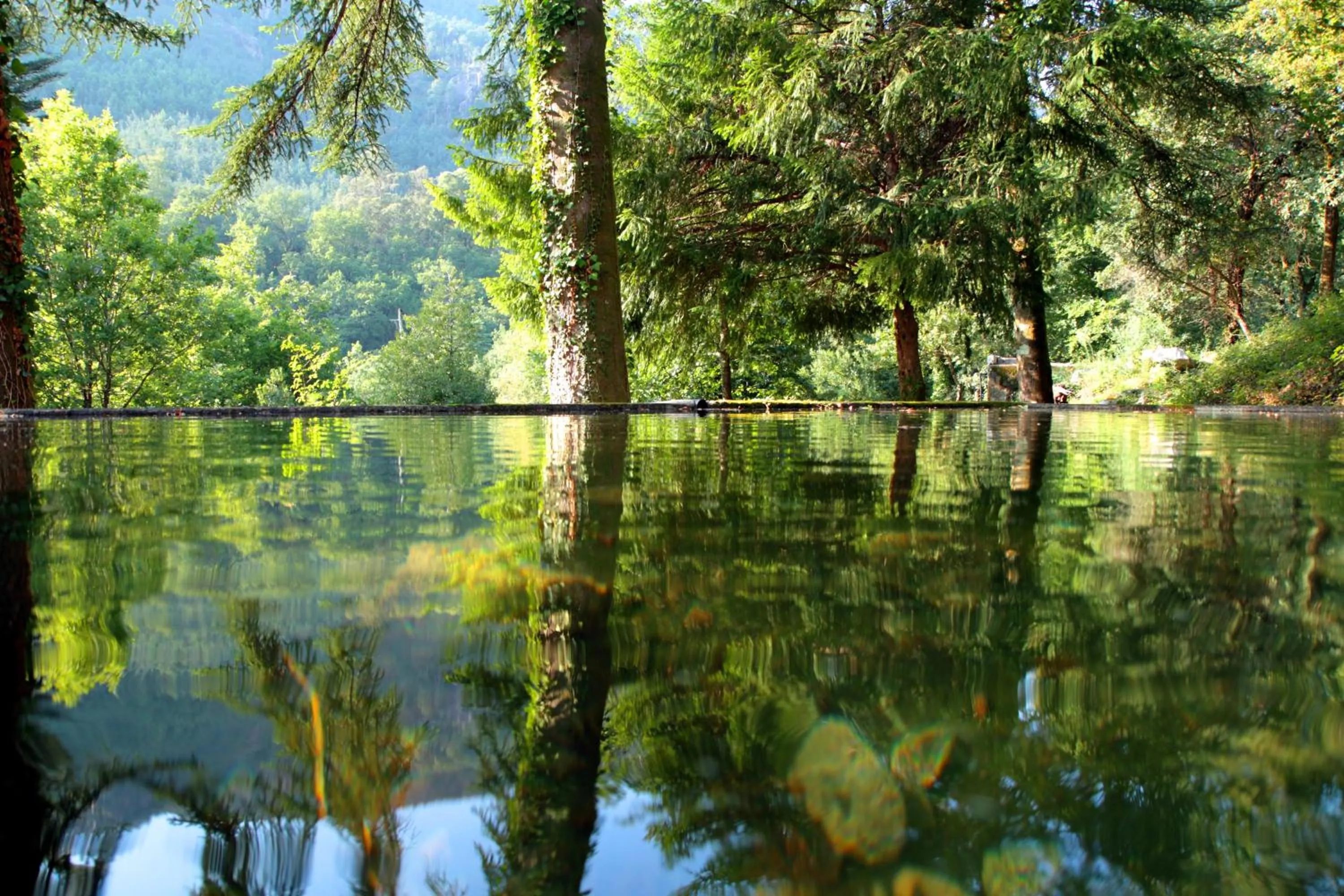 Natural landscape in Hotel Eco Salvador