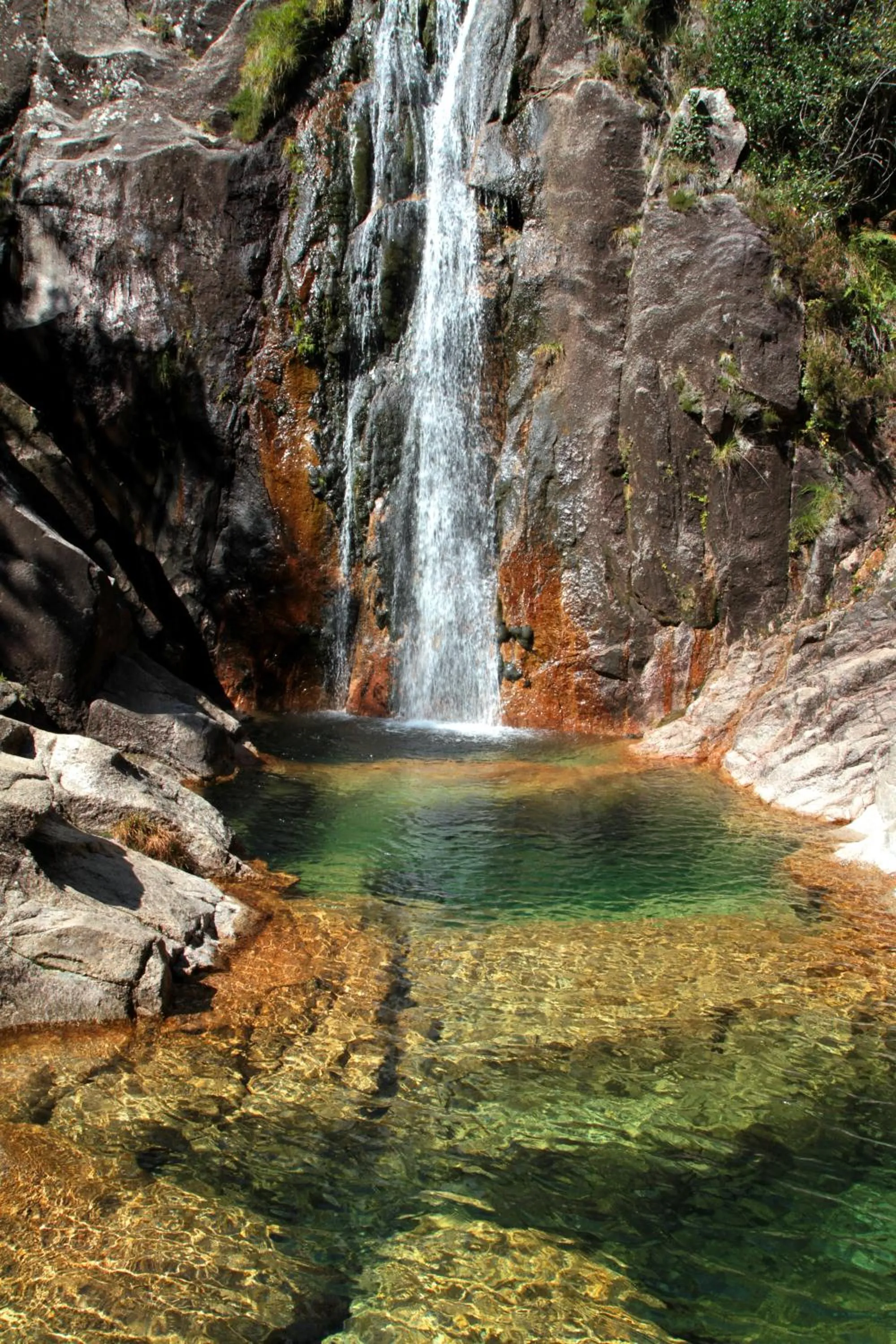 Natural landscape in Hotel Eco Salvador