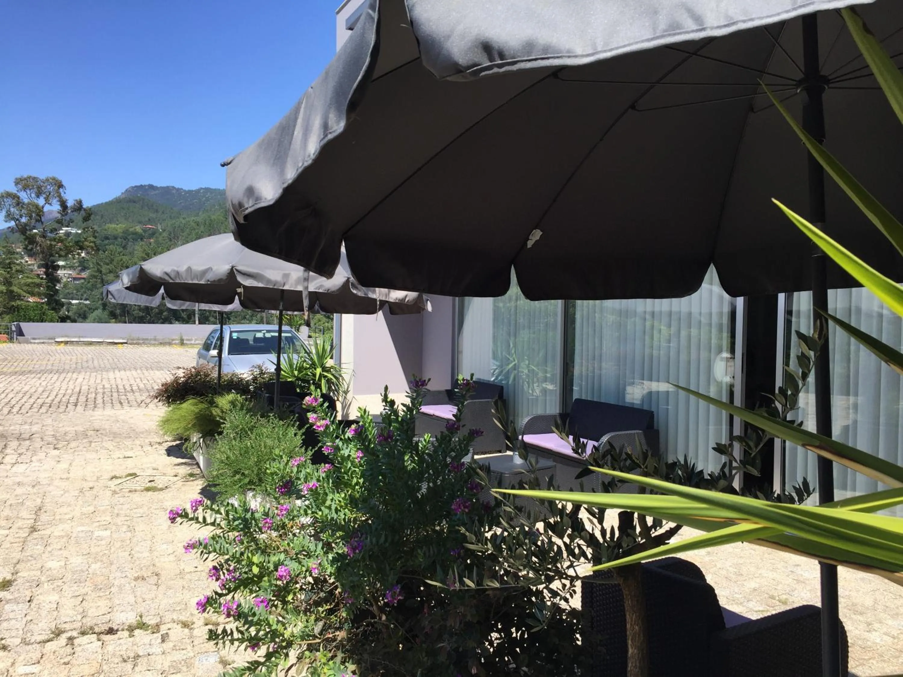 Property building in Hotel Eco Salvador