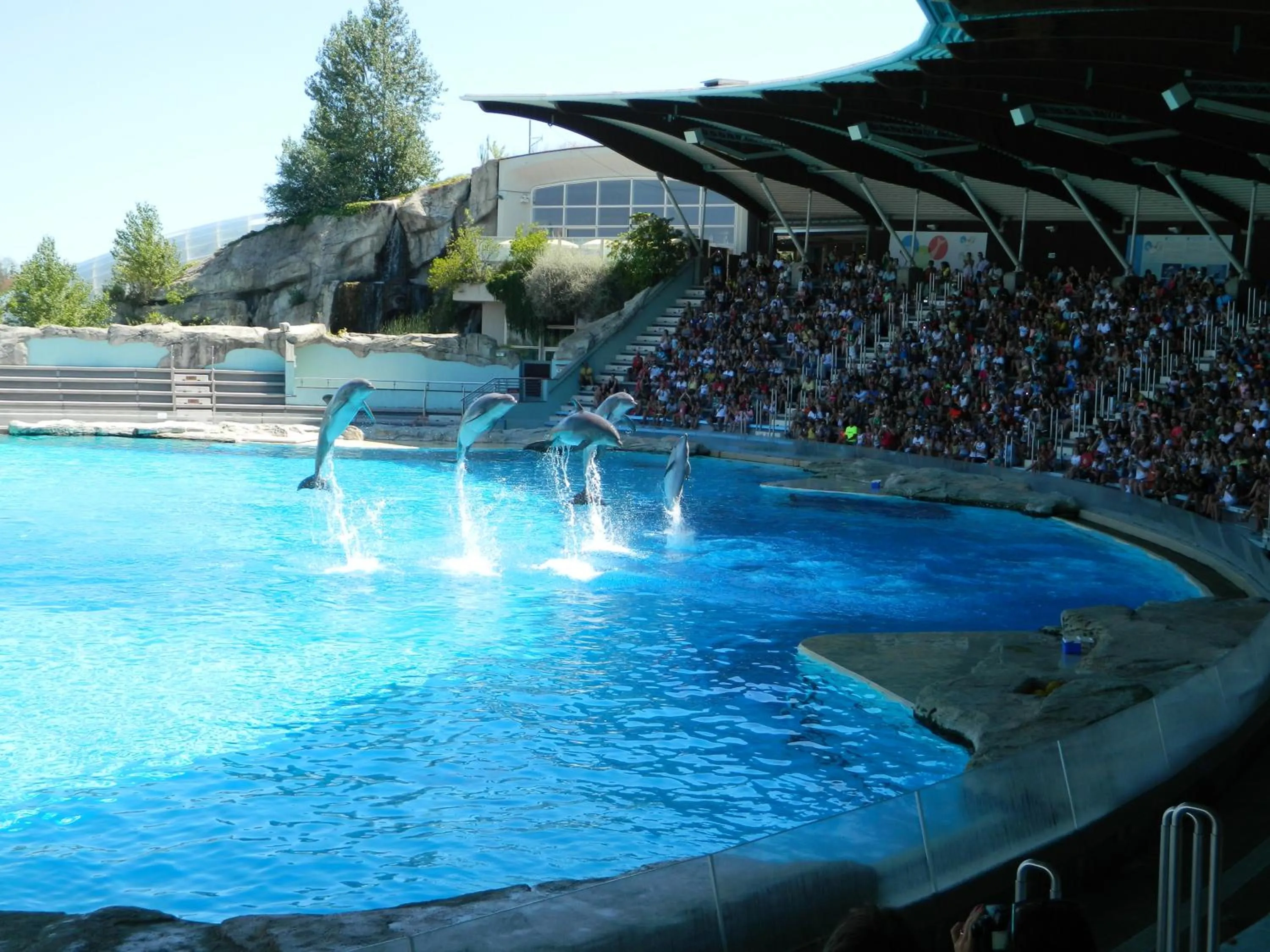 Aqua park in Residence Veliero