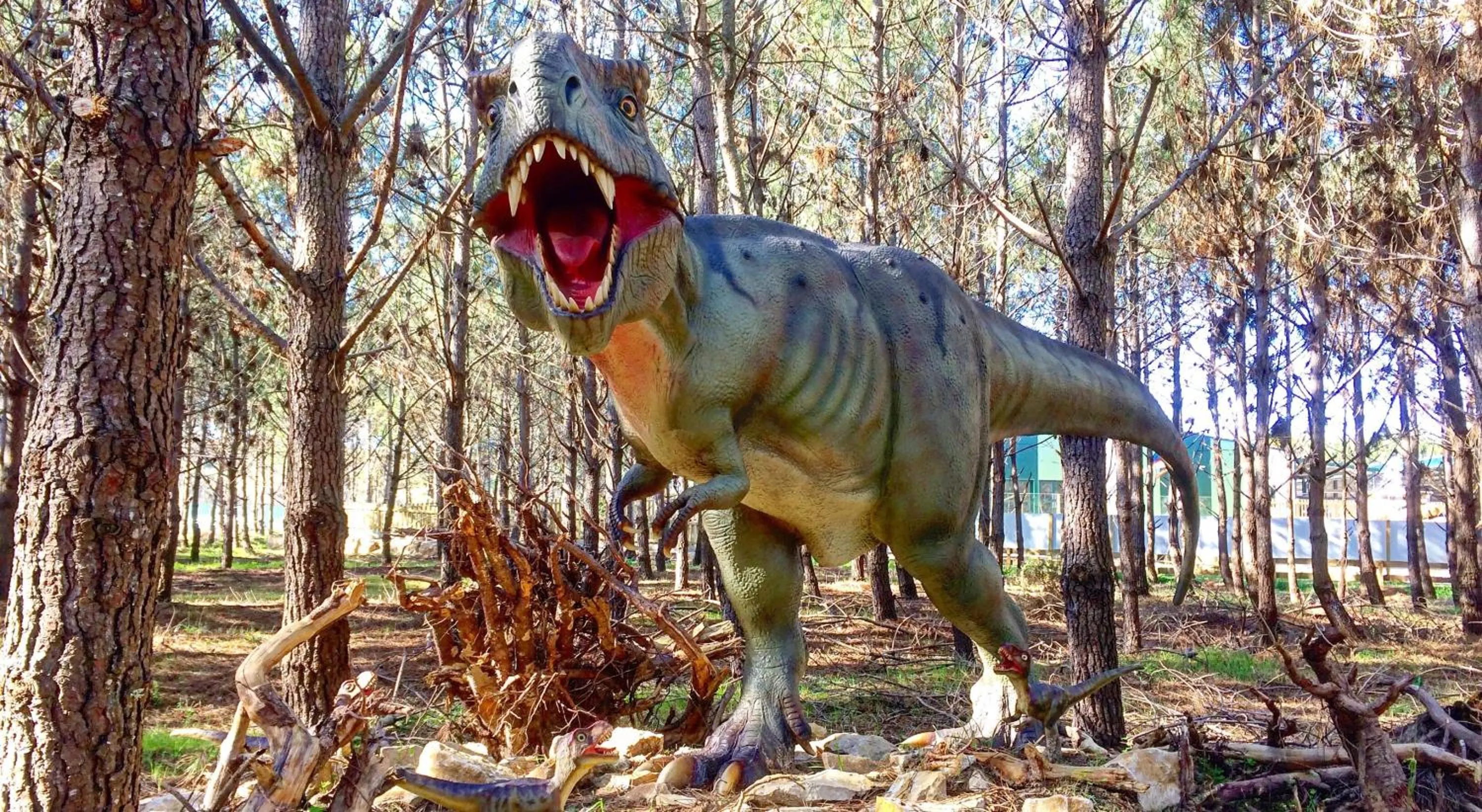 Nearby landmark in Hotel Dom Lourenco