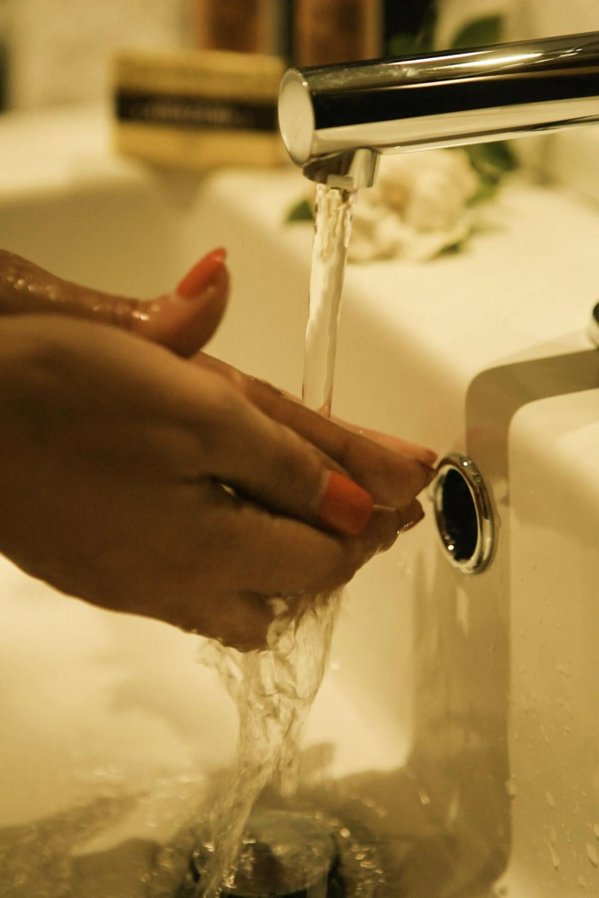 Hotel Rural Alves - BRAGA - Casa Alves de Torneiros