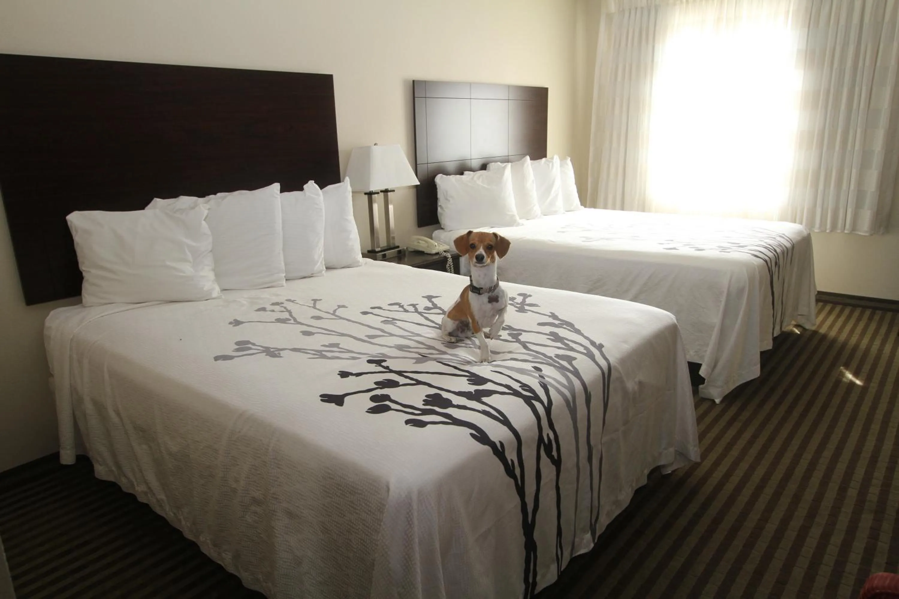 Photo of the whole room, Bed in Bowman Inn and Suites