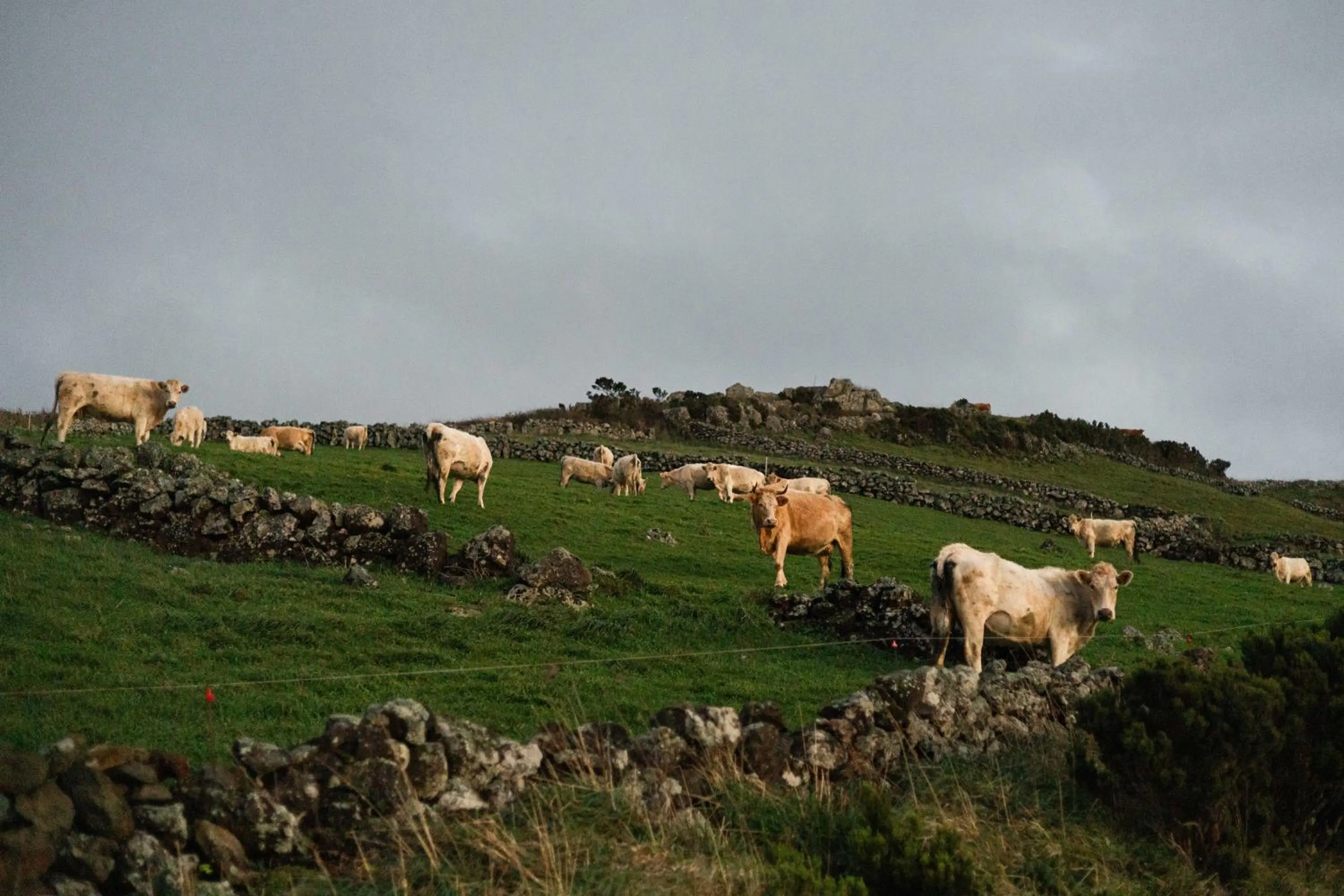 Nearby landmark in Hotel da Graciosa