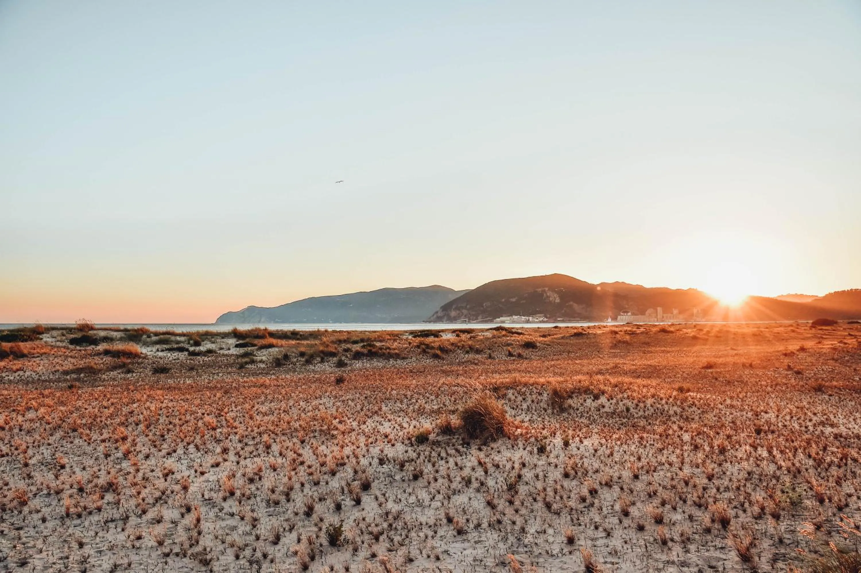 View (from property/room) in The Editory By The Sea Troia Comporta Hotel