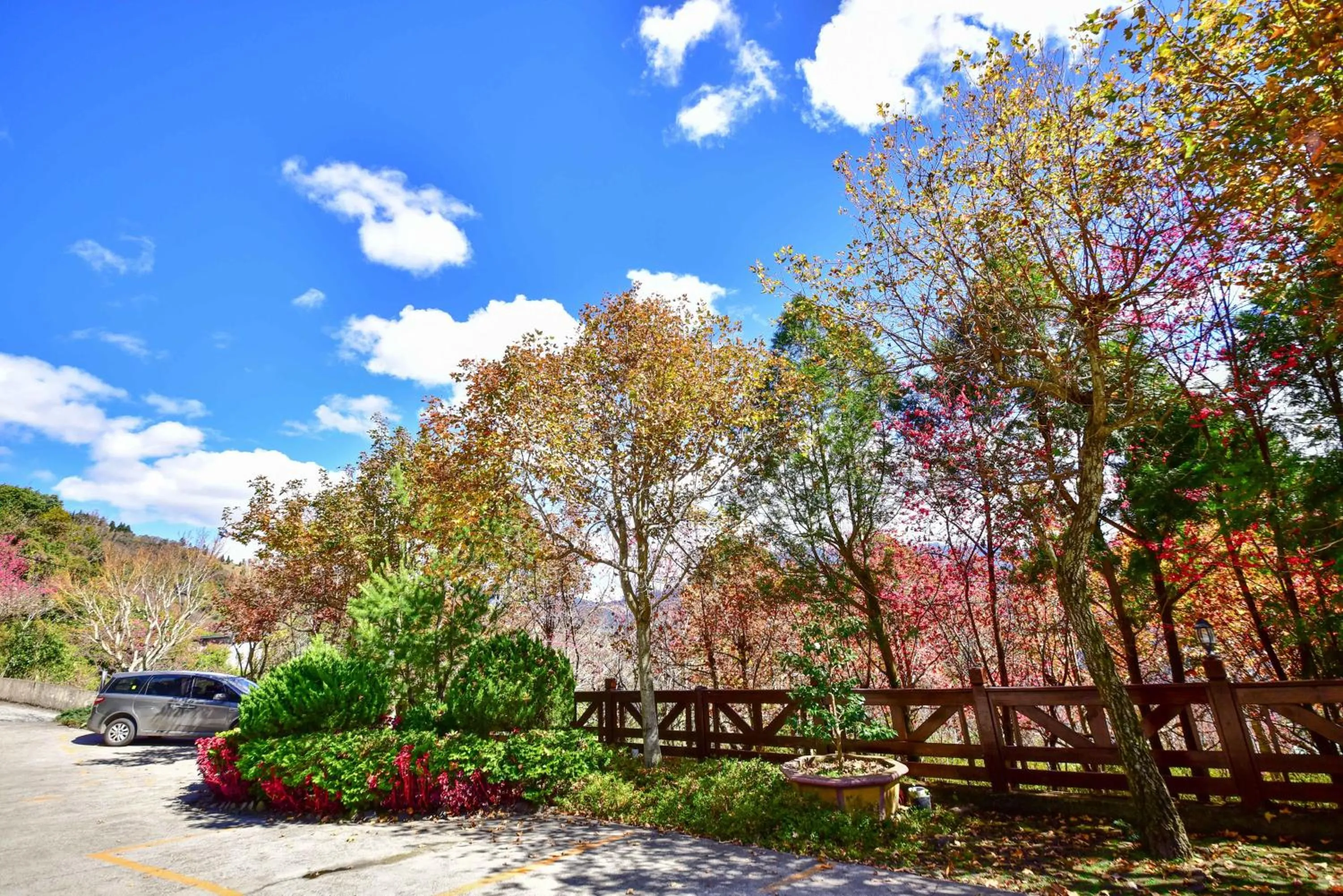 Garden view in Beverly B&B