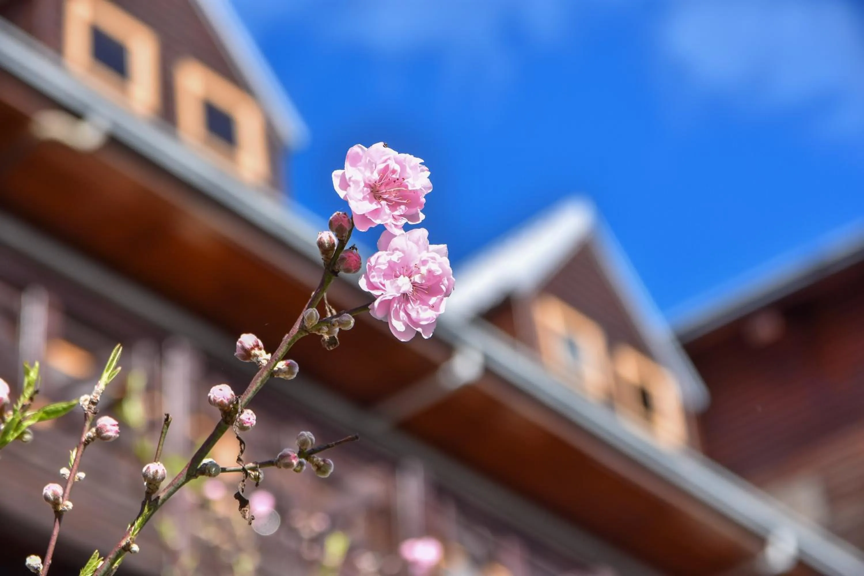 Off site in Beverly B&B