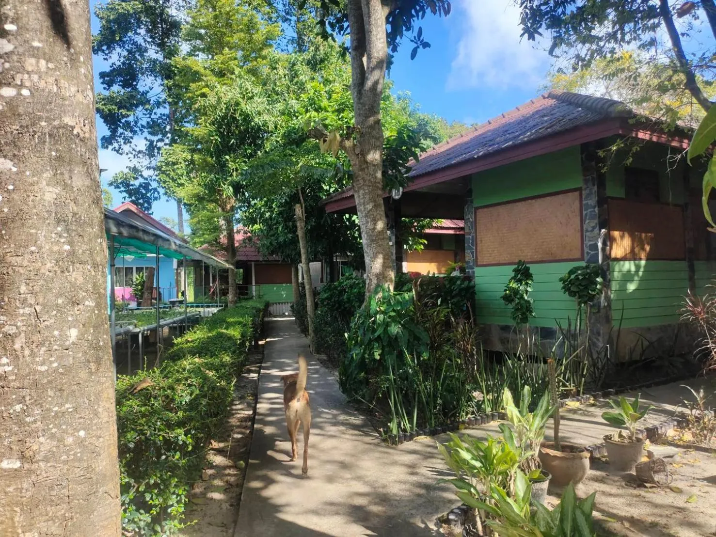 Everest Resort Samui - SHA Plus