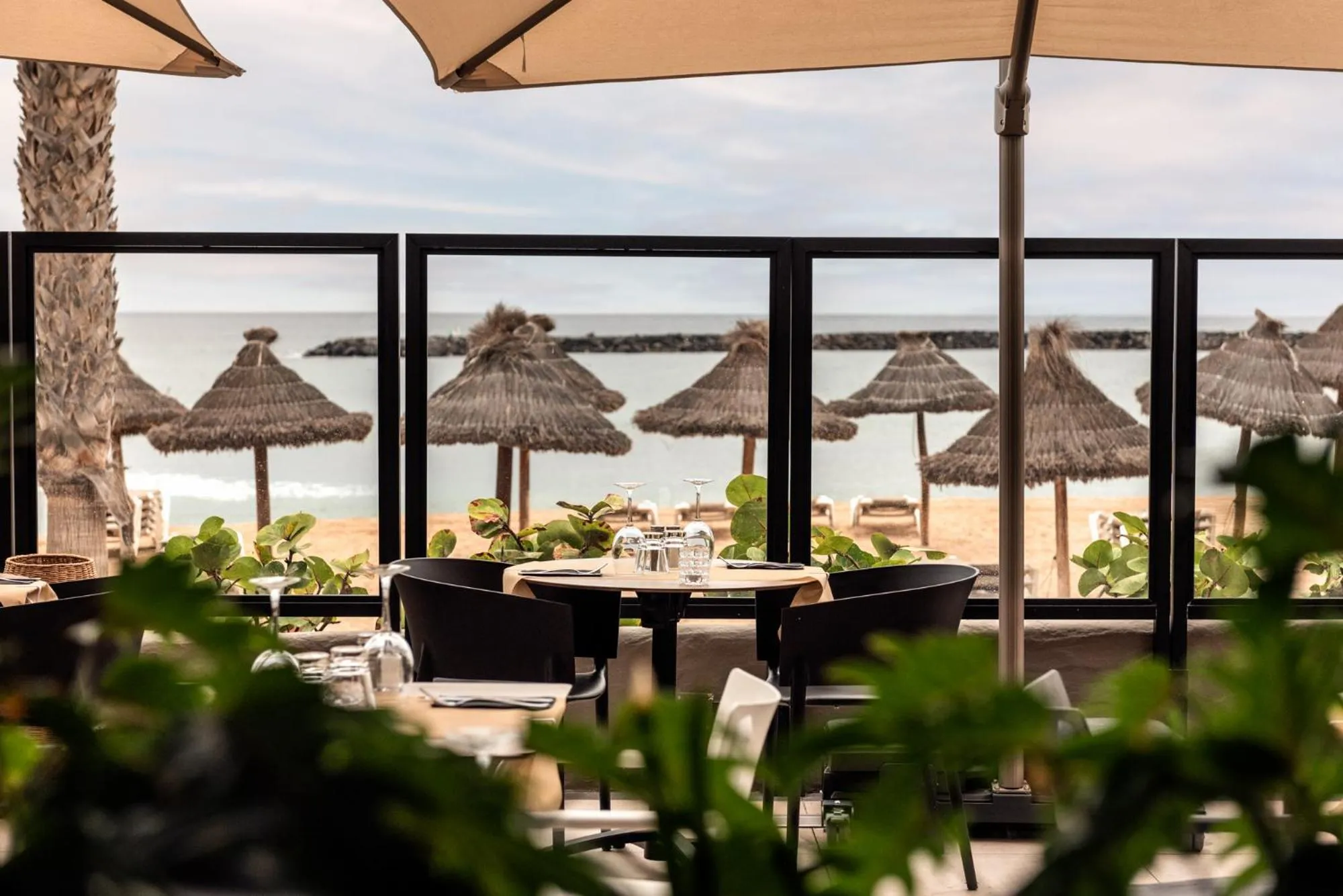 Restaurant/places to eat in Mediterranean Palace