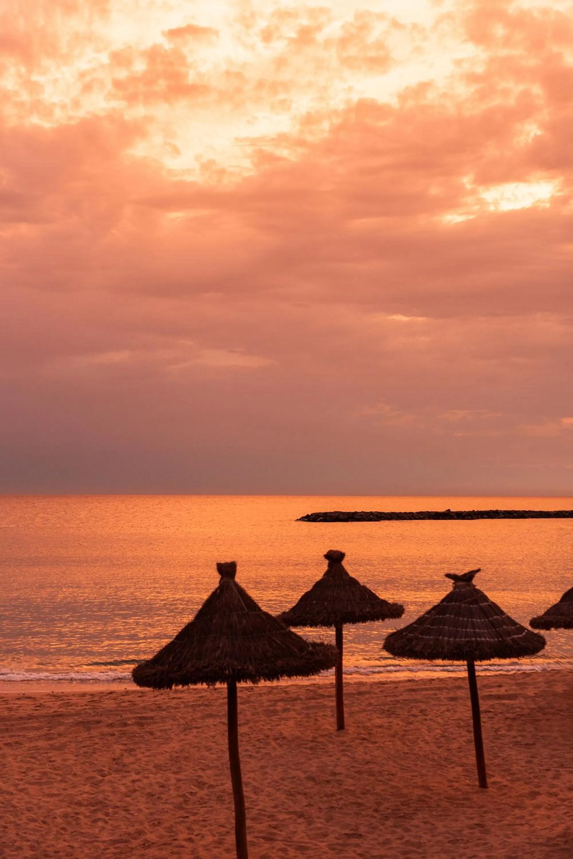 Summer in Mediterranean Palace