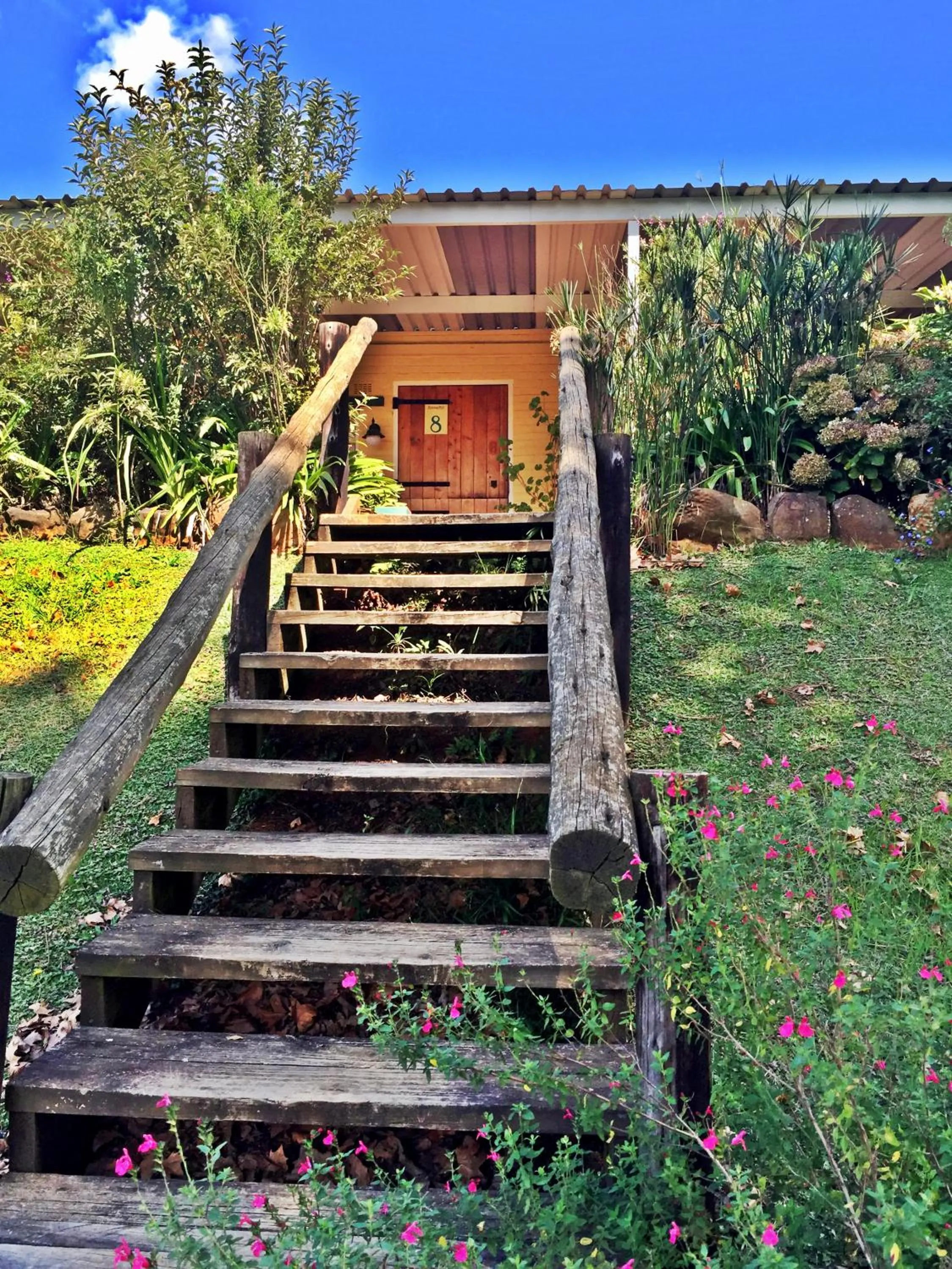 Facade/entrance in Notting Hill Lodge