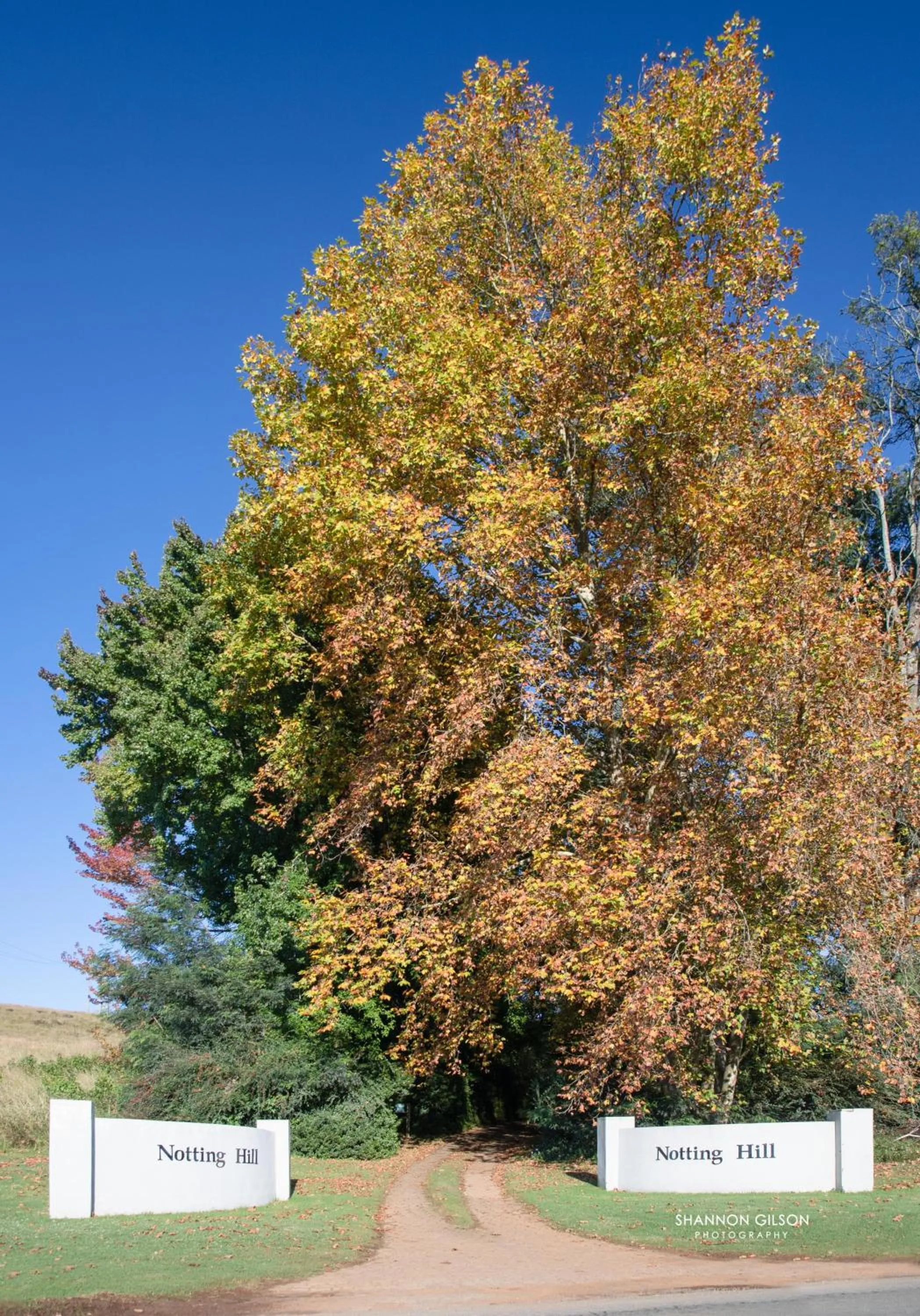 Day in Notting Hill Lodge