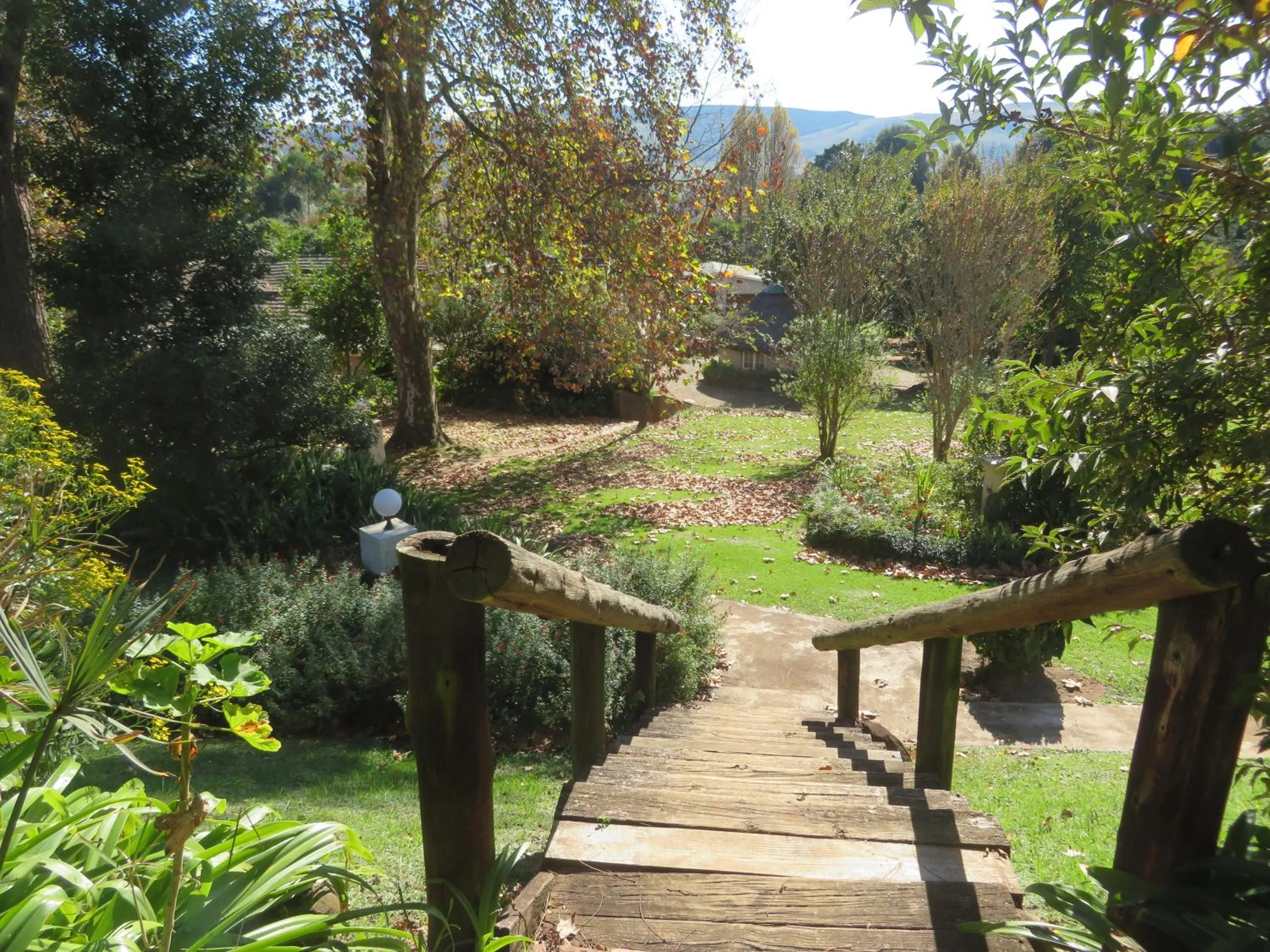 Garden view in Notting Hill Lodge