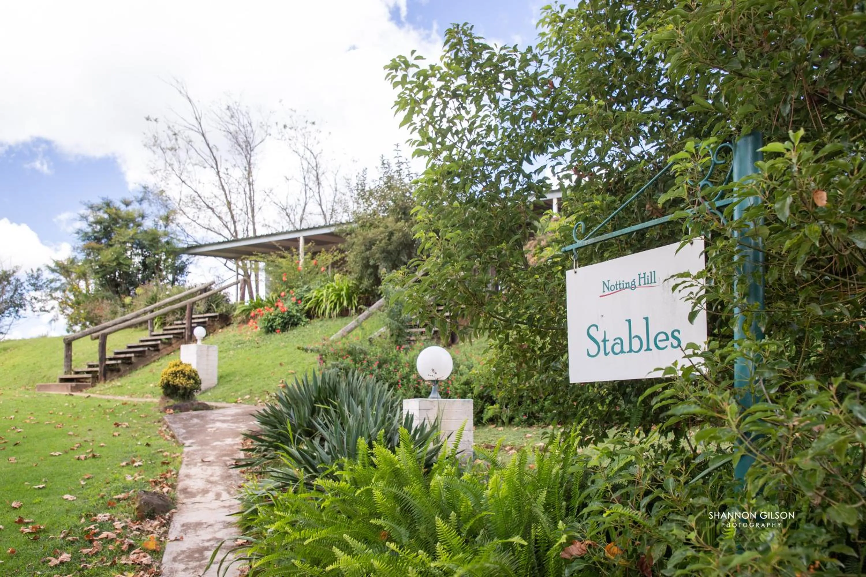 Garden view in Notting Hill Lodge