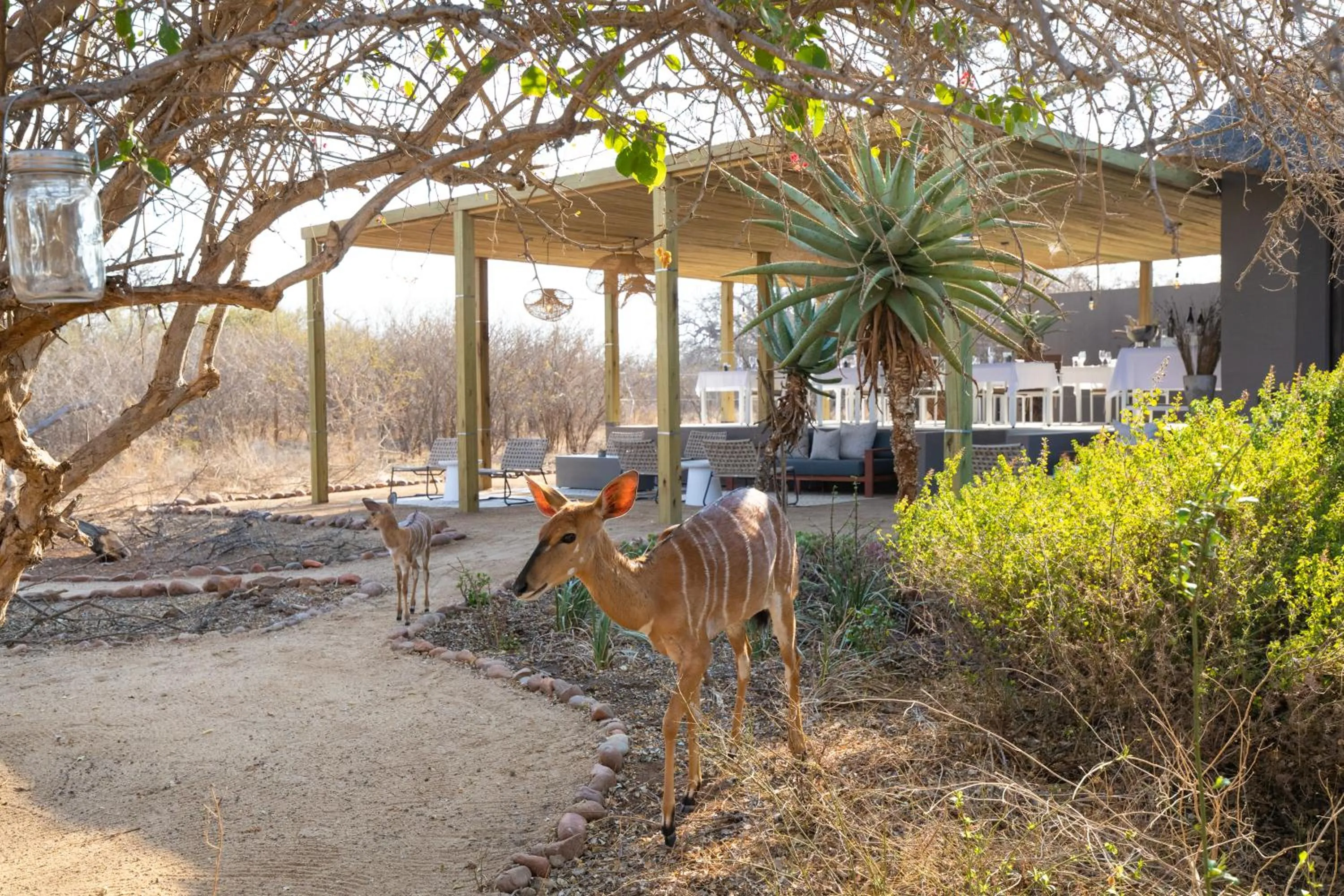 Animals in Unembeza Boutique Lodge & Spa