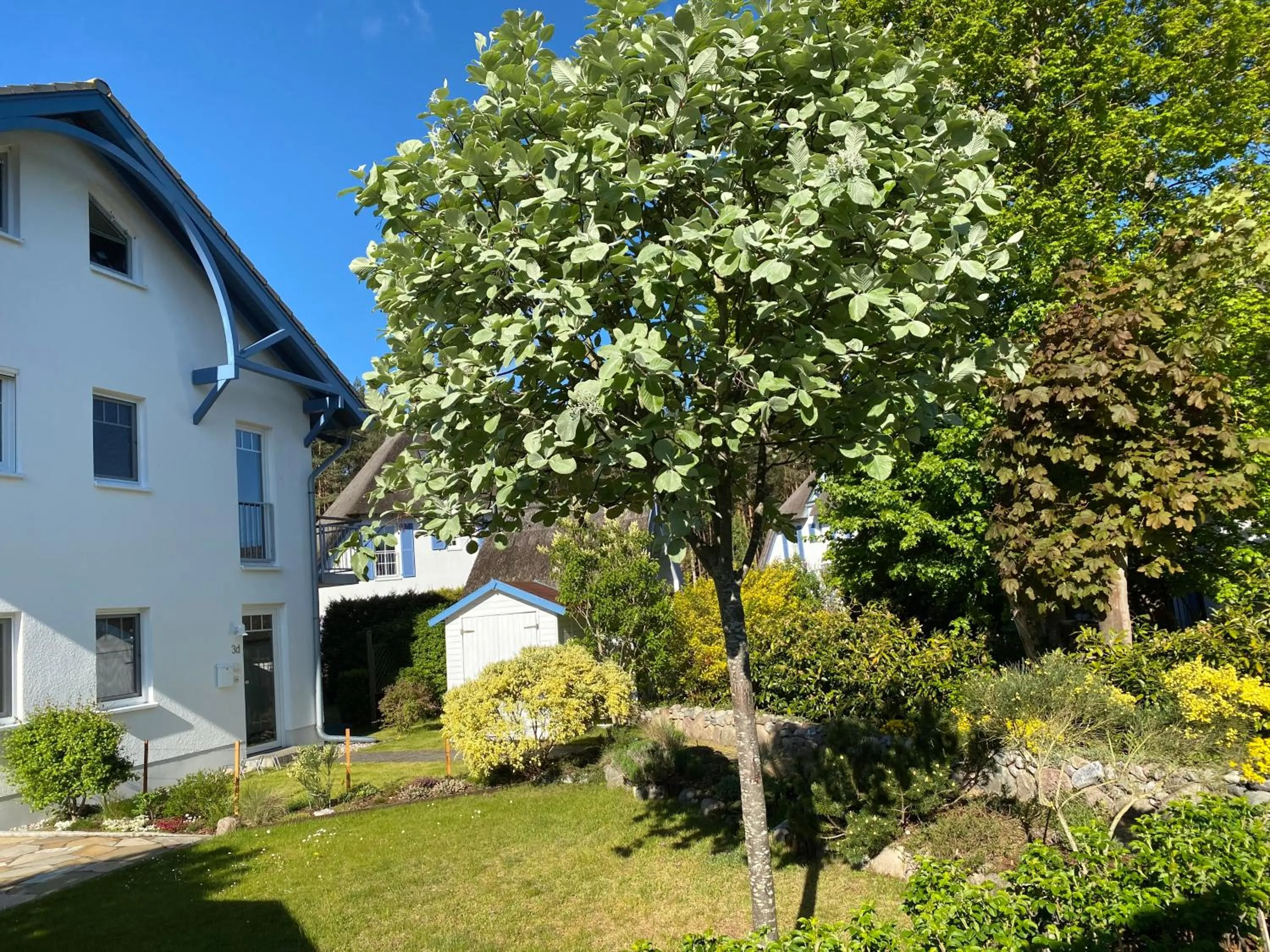 Property building in Dünenresidenz Karlshagen - Ferienwohnung Ginsterweg