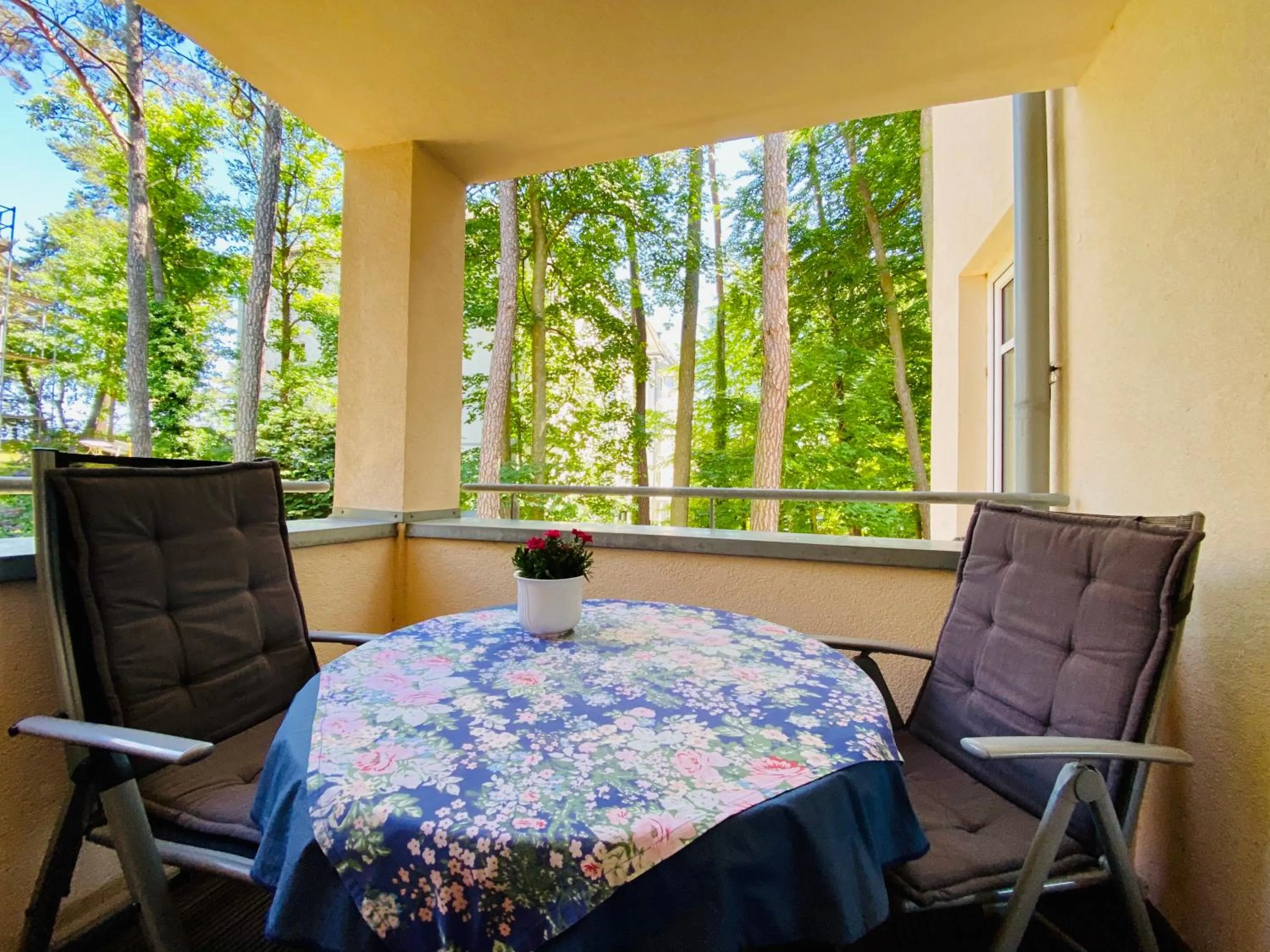 View (from property/room) in Neue Villa Ernst - Ferienwohnung 3