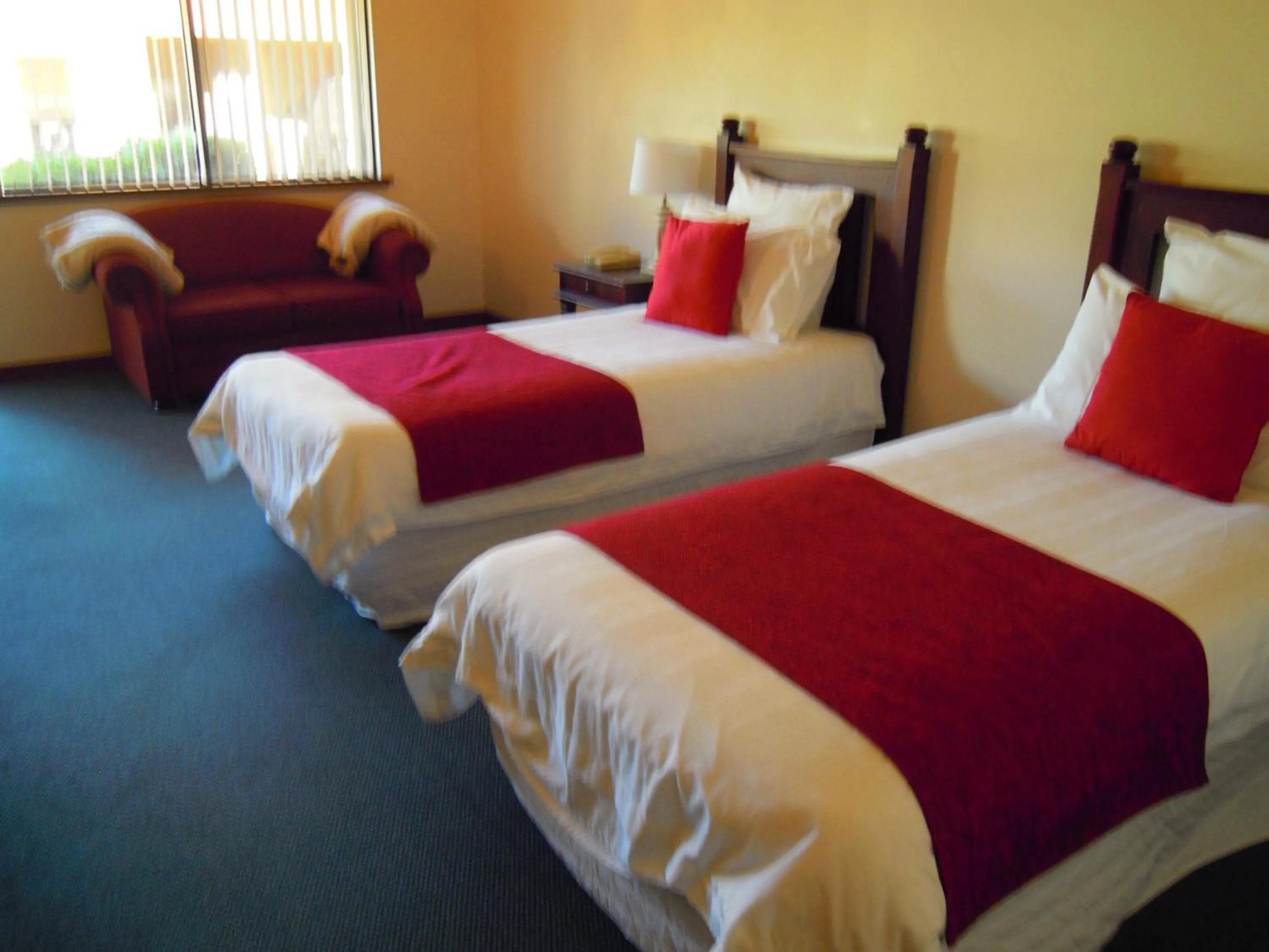 Day, Bed in Tree Top Walk Motel