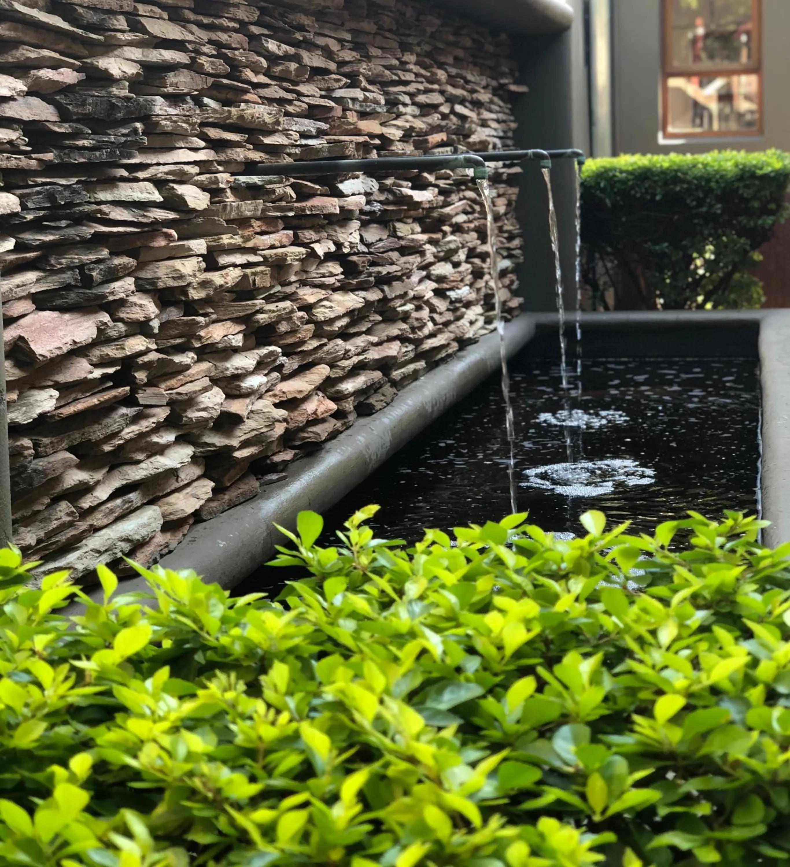 Garden in The Village in Hatfield