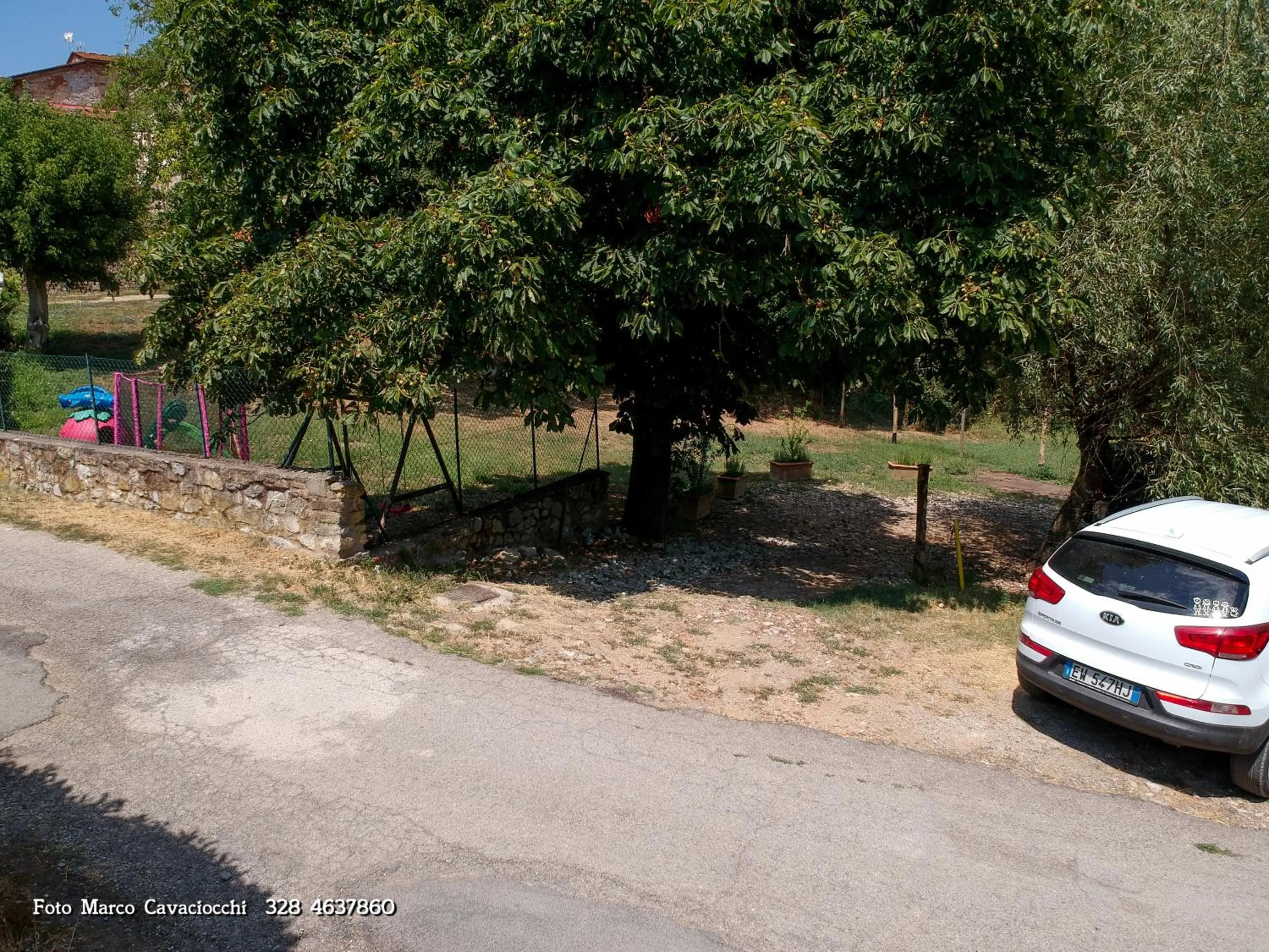 View (from property/room) in Il Bosso di Toscana