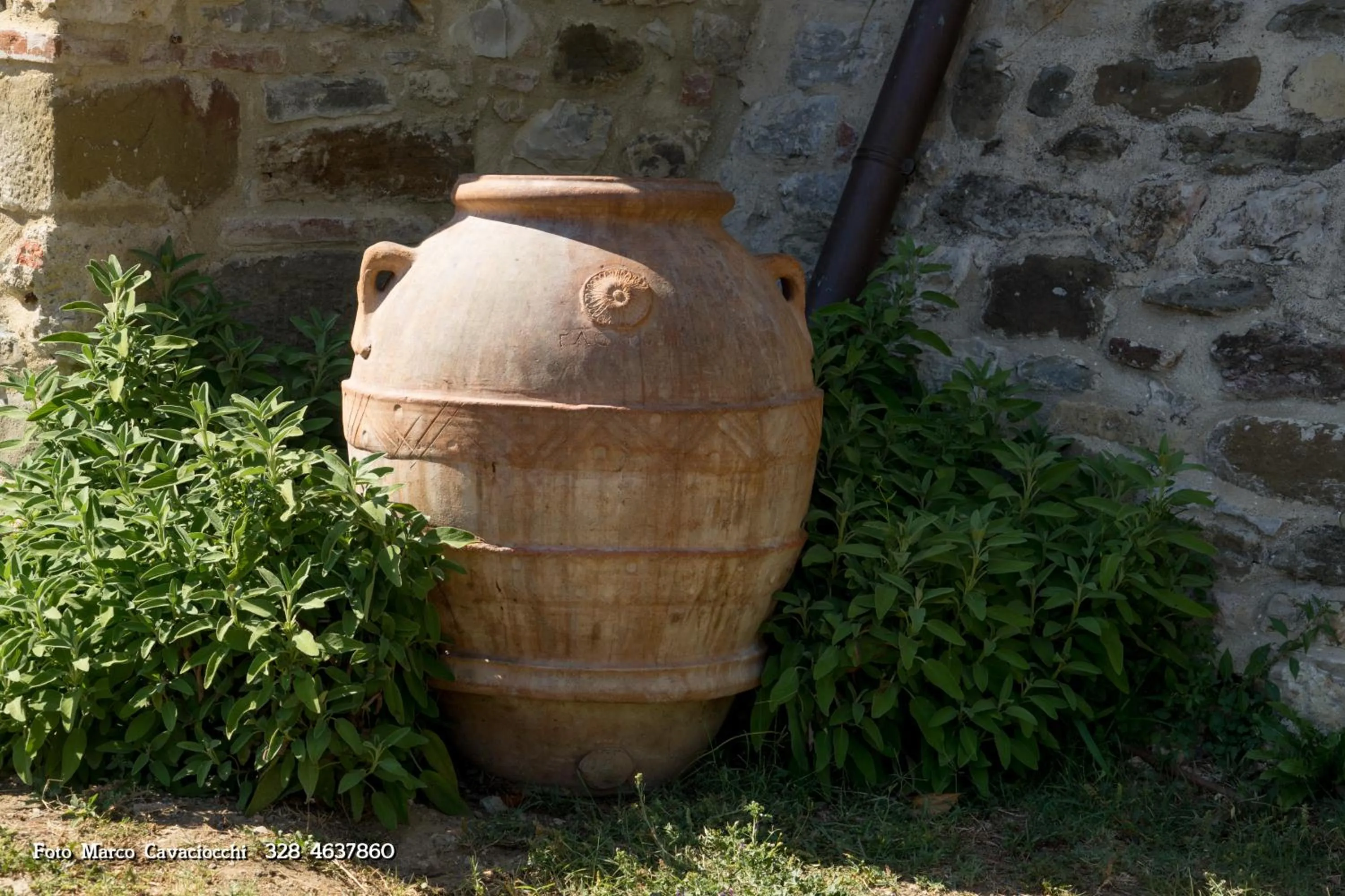 Garden in Il Bosso di Toscana