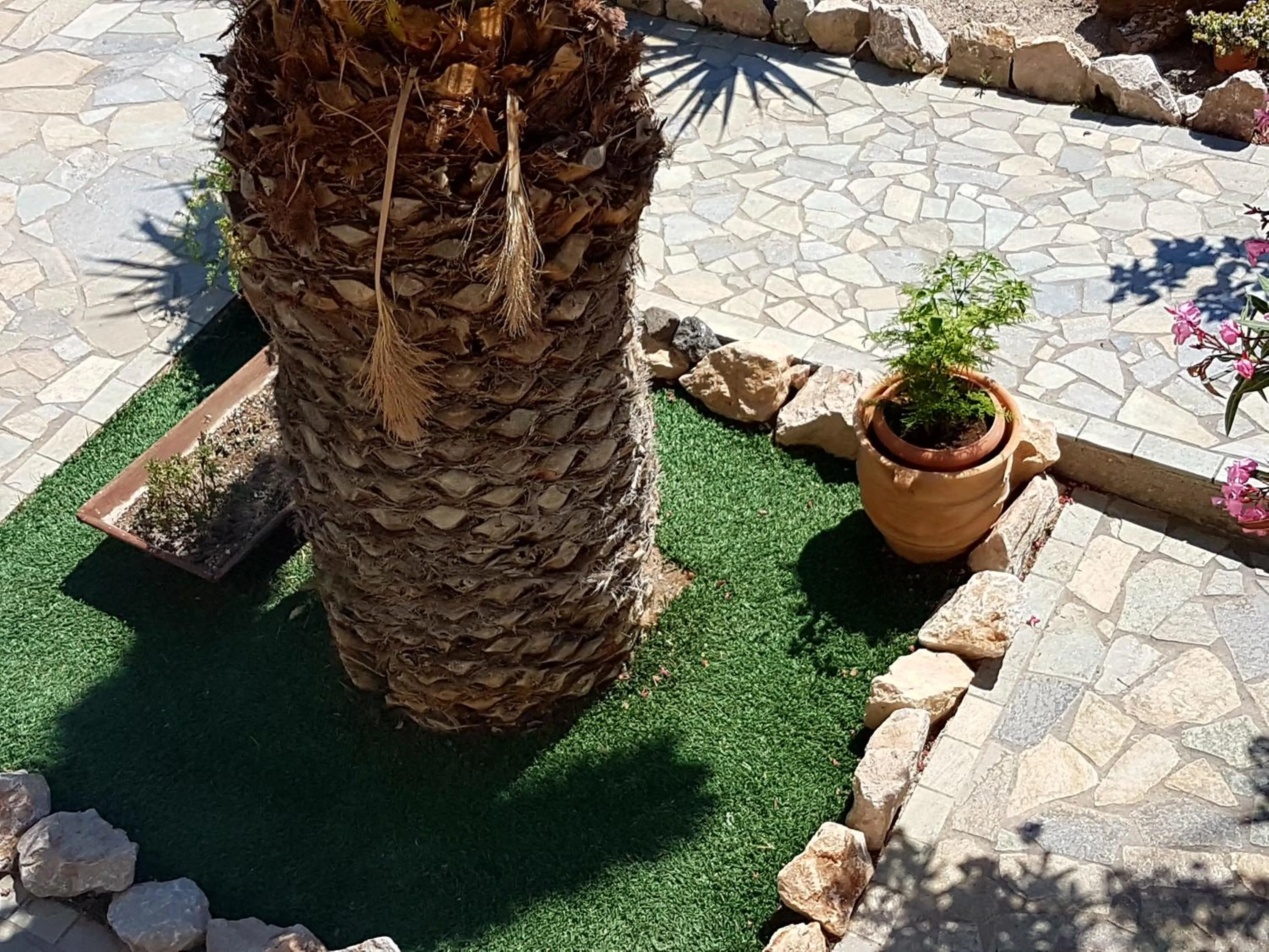 Garden in Ira Apartments