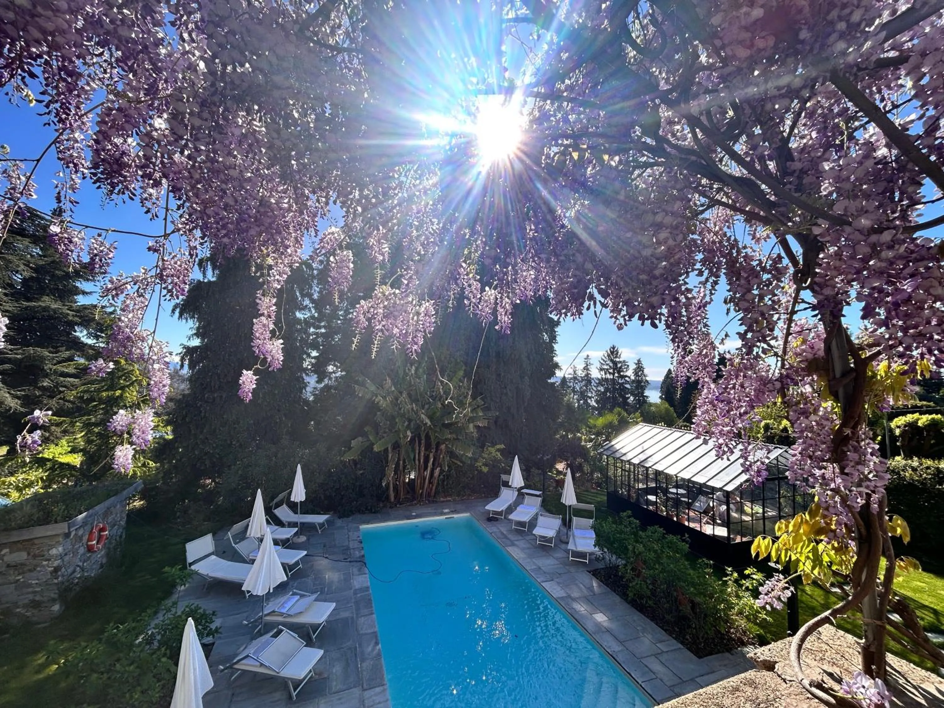 Day in White Lilac Romantic B&B - Adults only