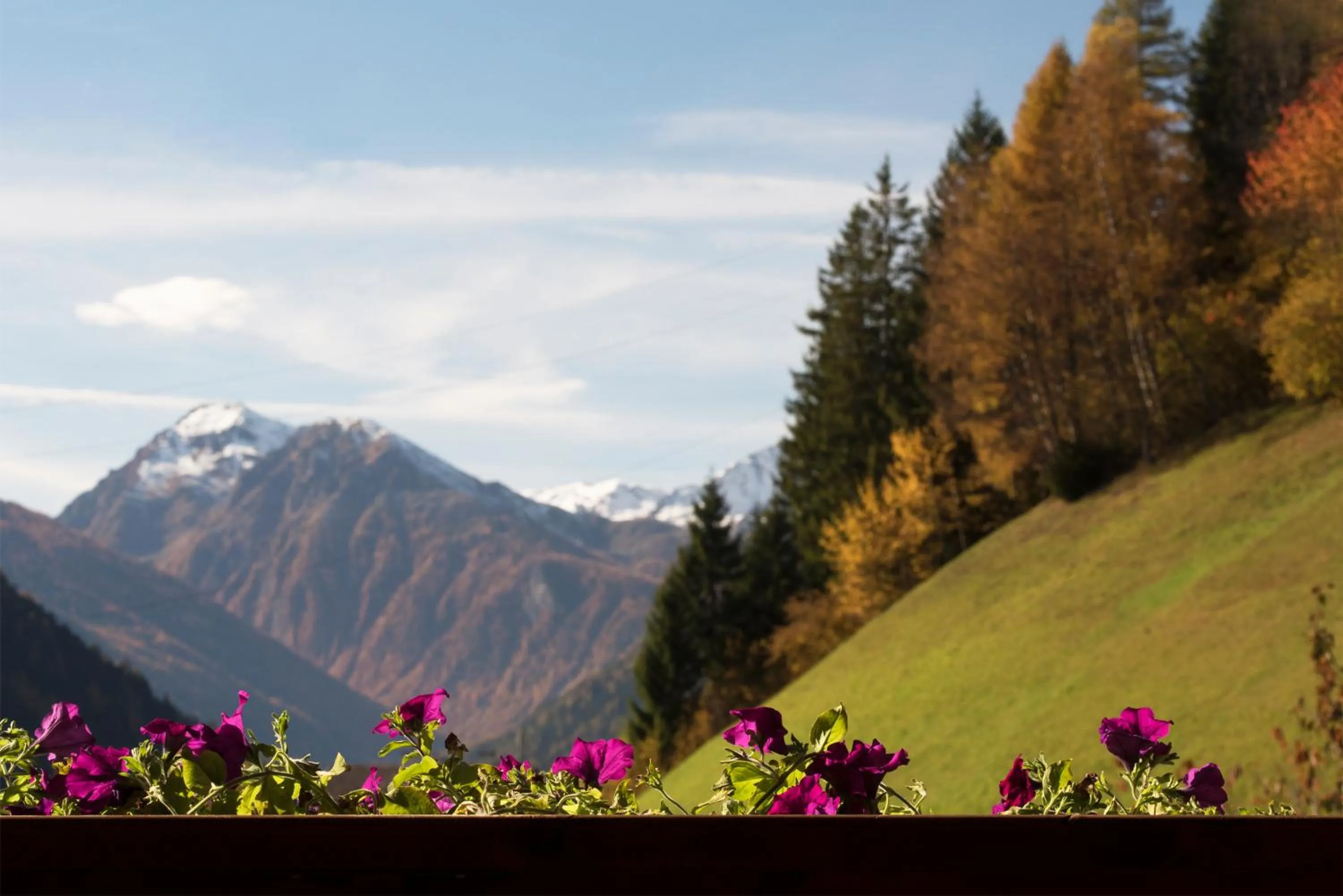 Garden view in Familienhotel Viktoria