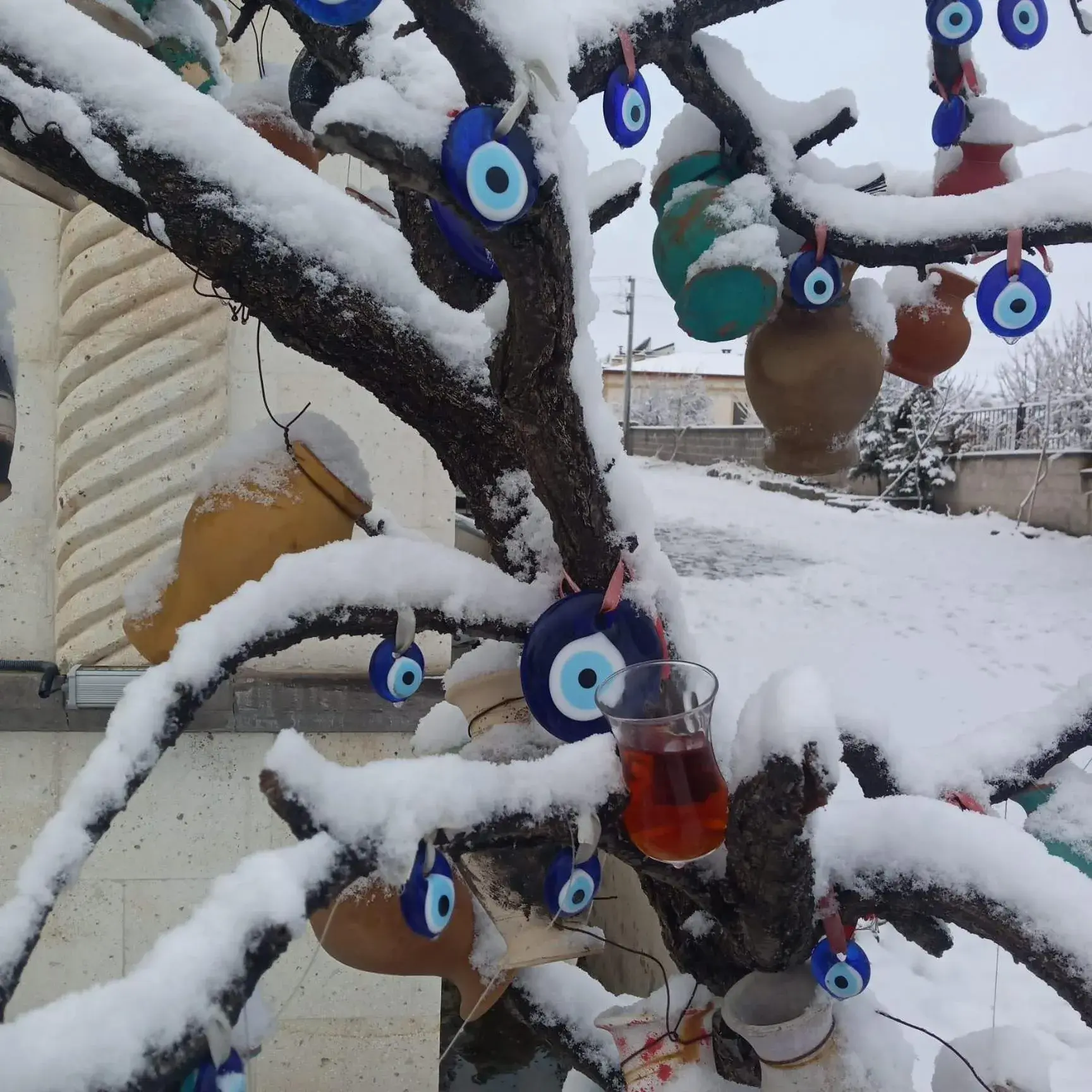 Suite with Garden View - single occupancy in Sun Rise View Hotel Suite with Garden View - single occupancy in Sun Rise View Hotel