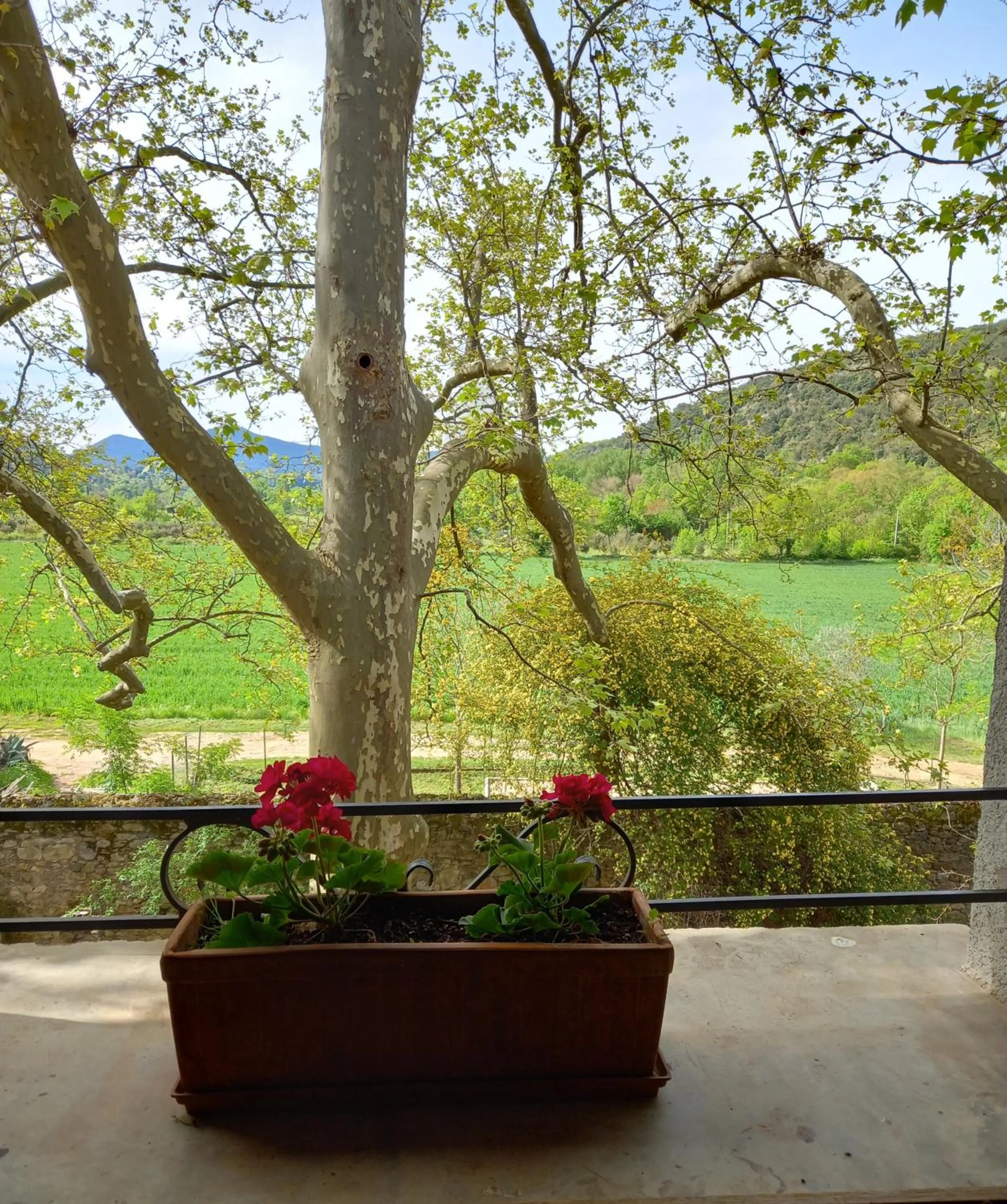 View (from property/room) in Chambres d'hôtes Domaine de Pélissols