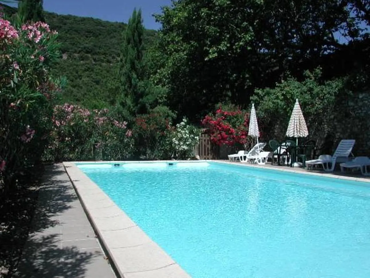 Swimming pool in Chambres d'hôtes Domaine de Pélissols