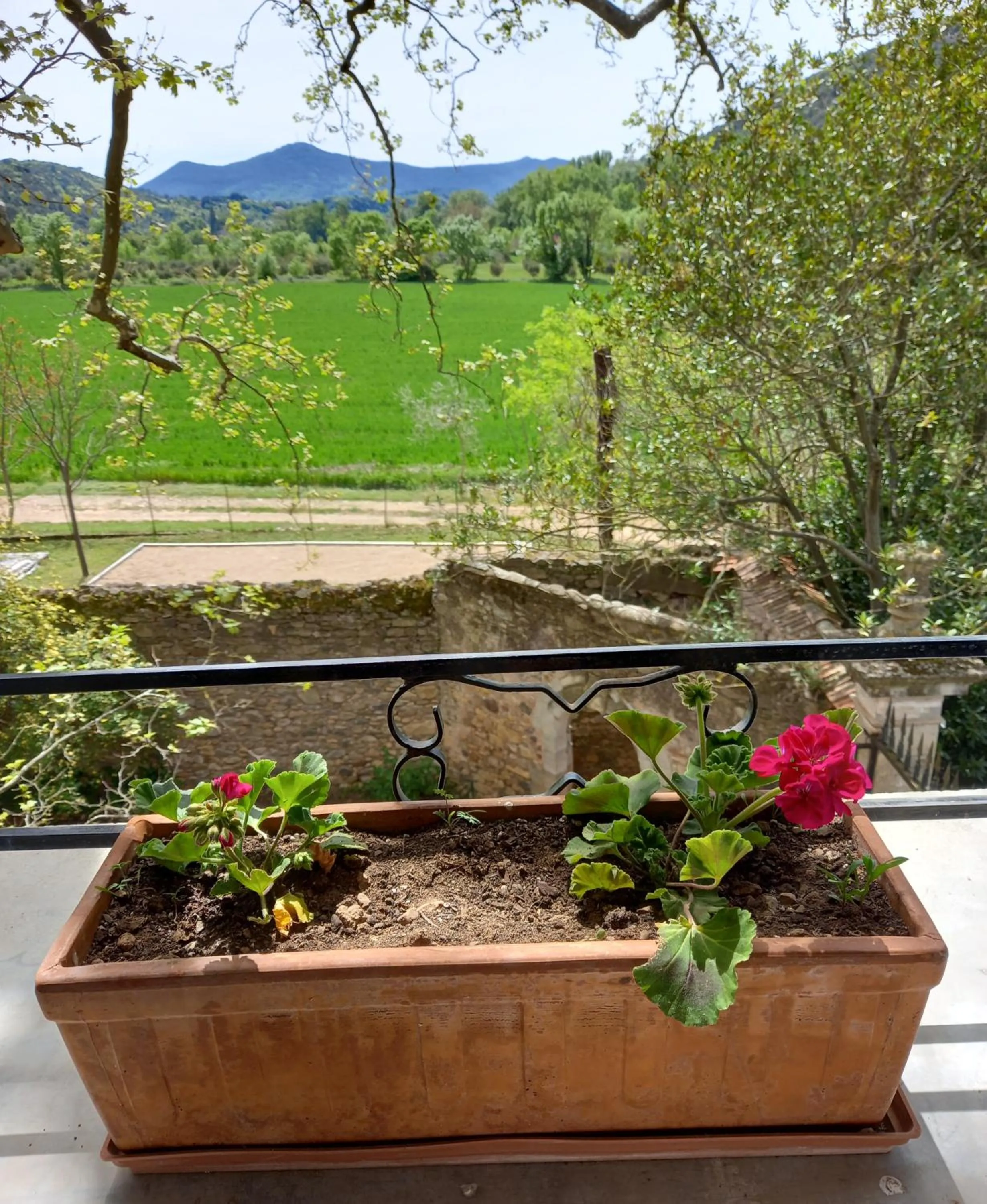 View (from property/room) in Chambres d'hôtes Domaine de Pélissols