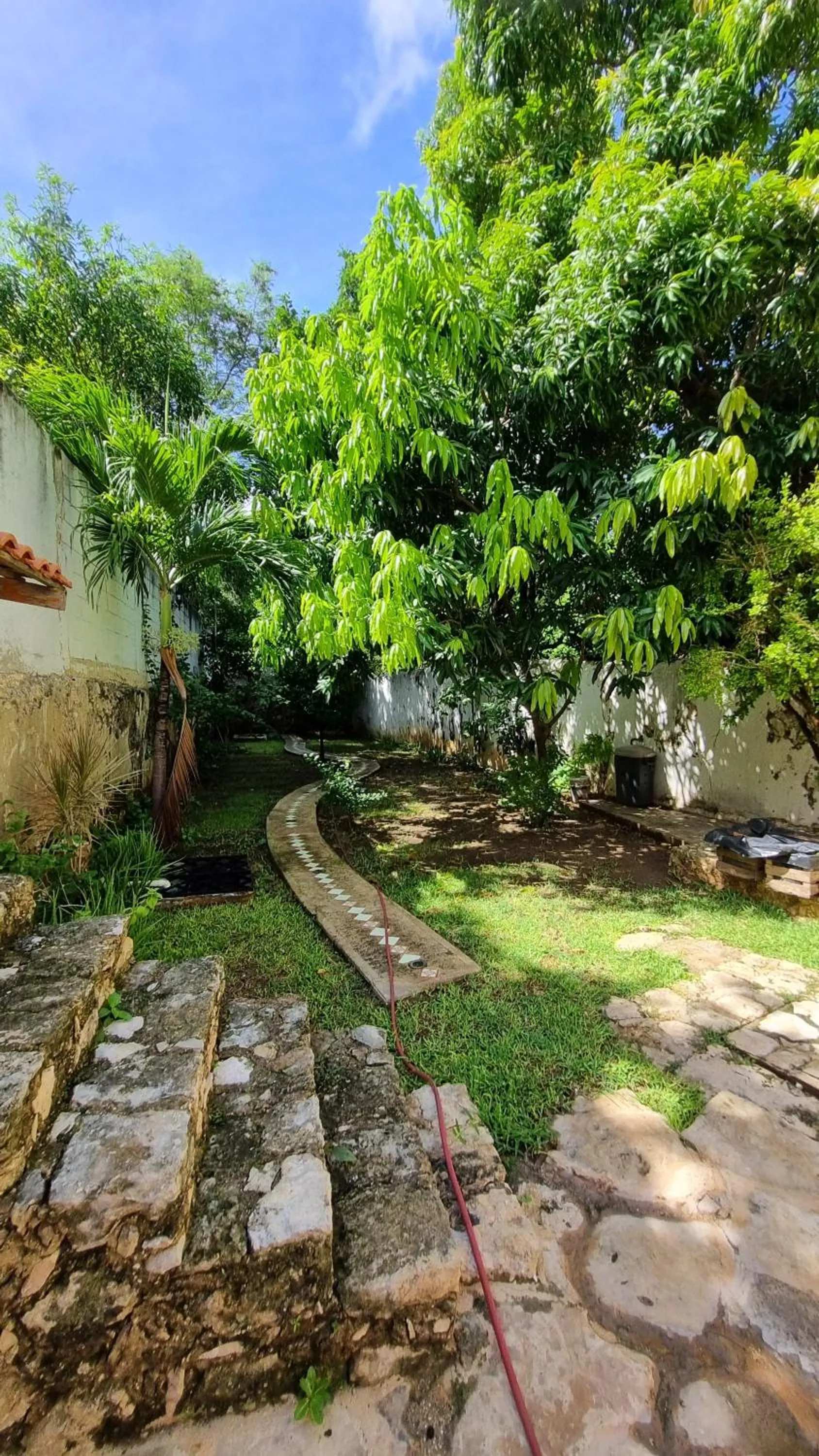 Garden in Casa de Zari