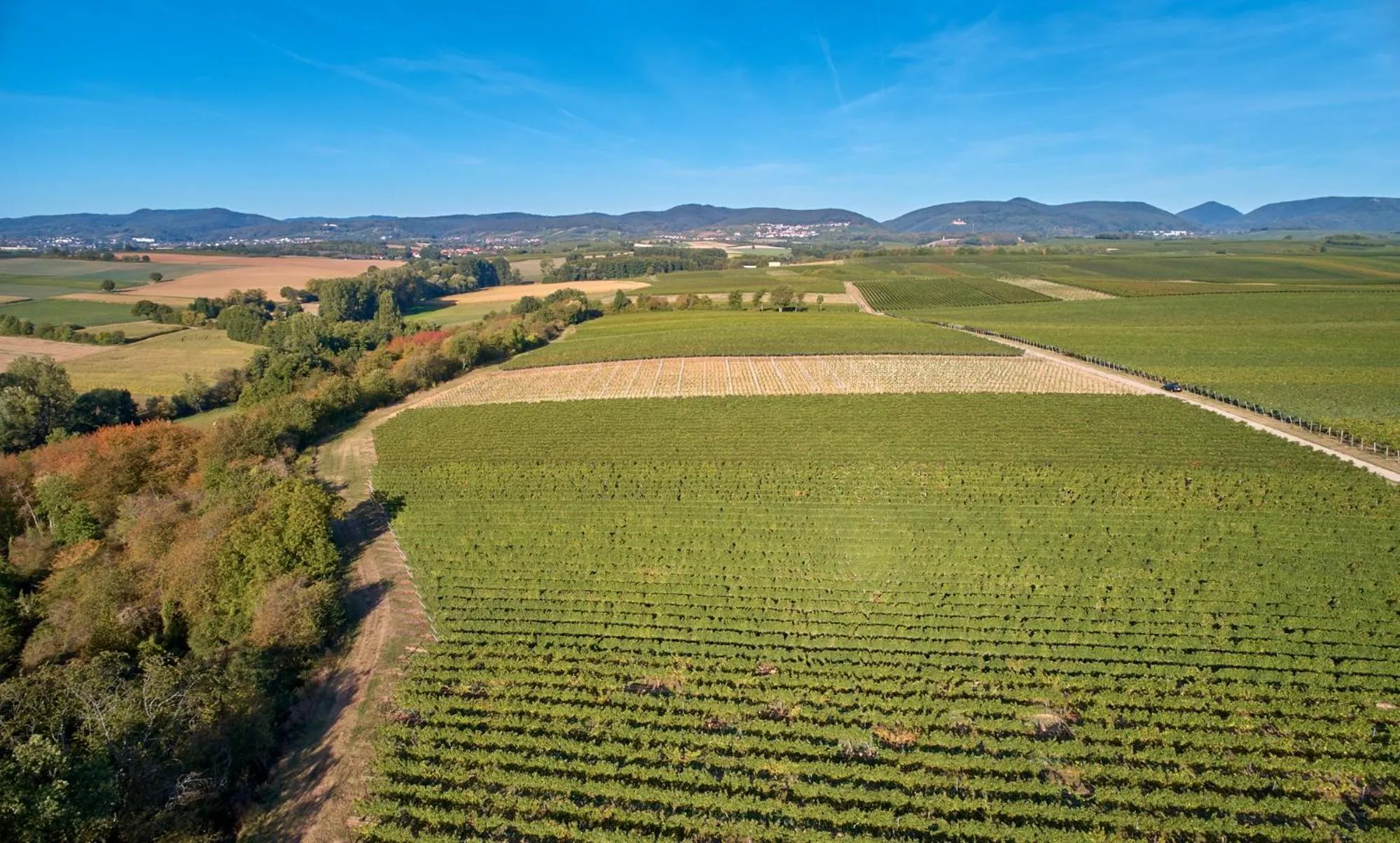 Natural landscape in Weingasthaus Wisser