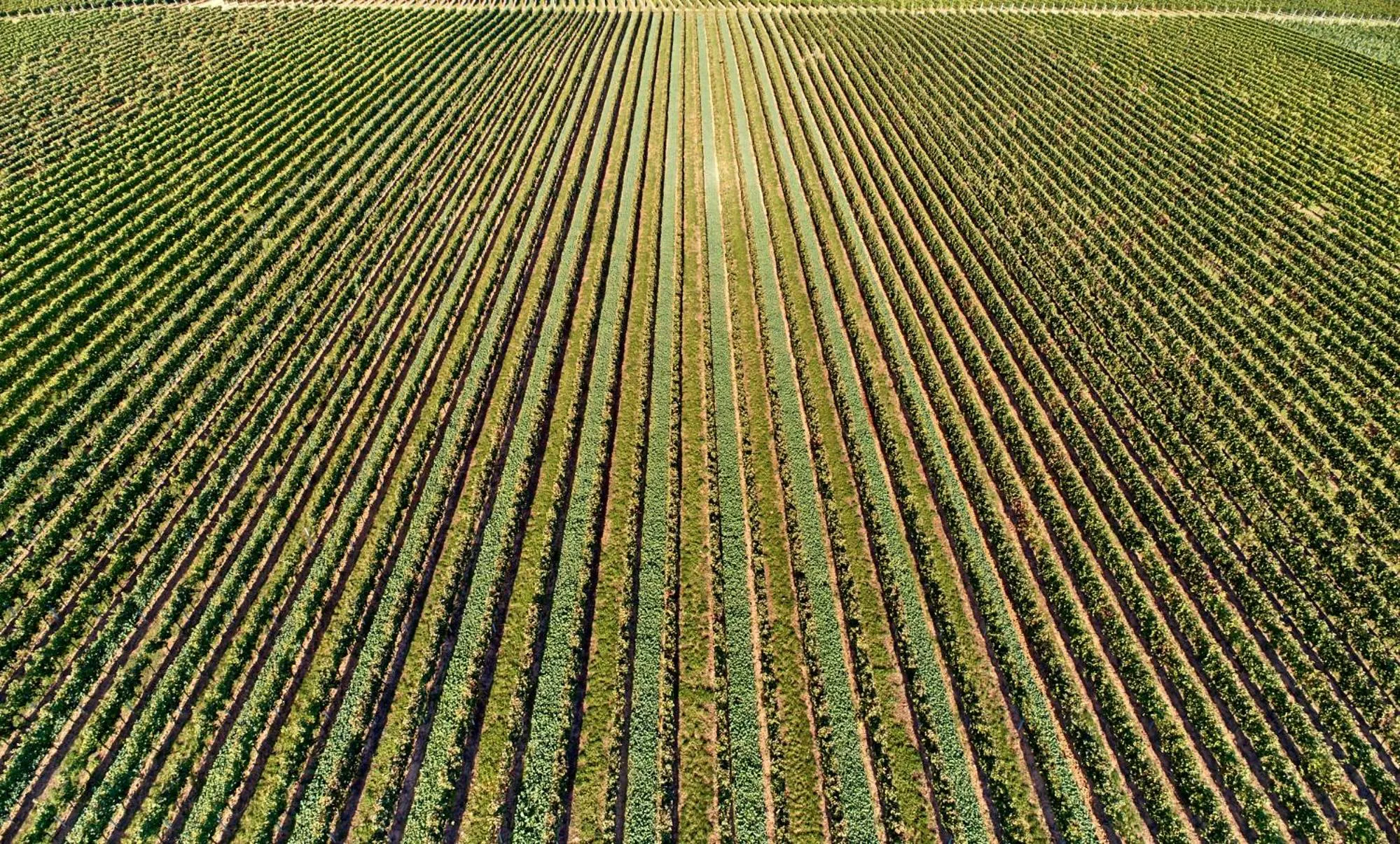 Natural landscape in Weingasthaus Wisser