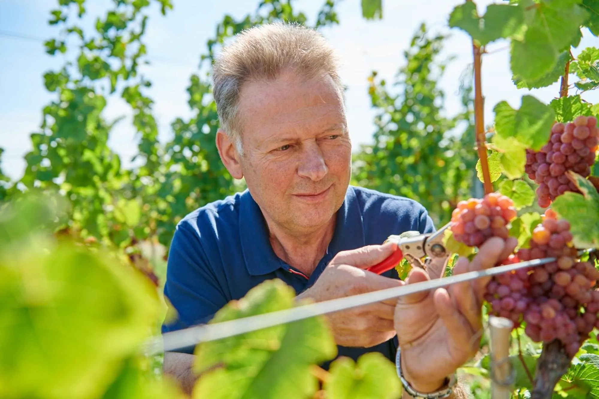 People in Weingasthaus Wisser