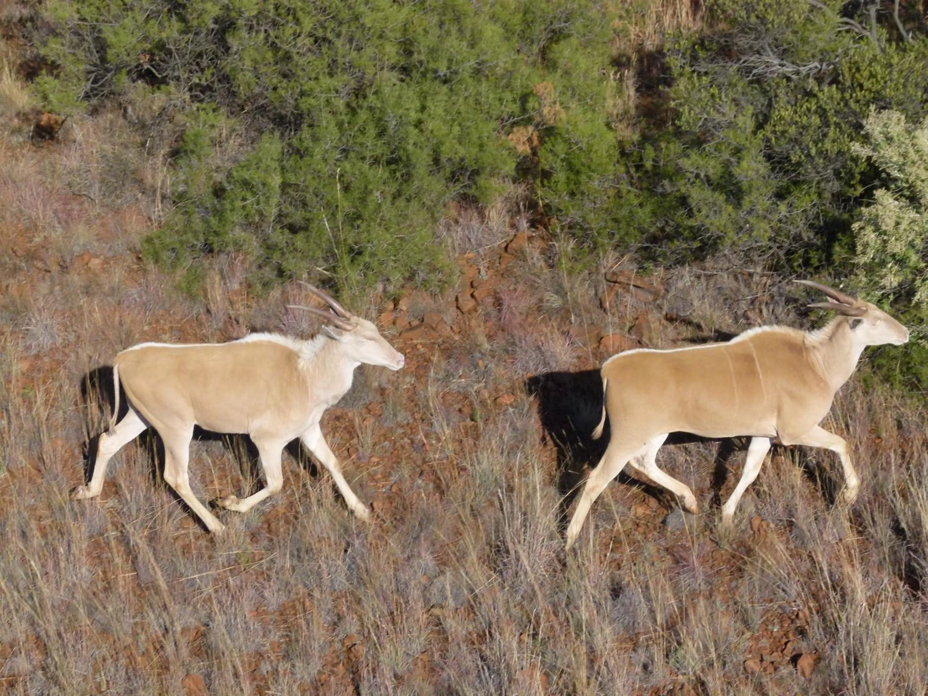 Activities in Red Sands Country Lodge
