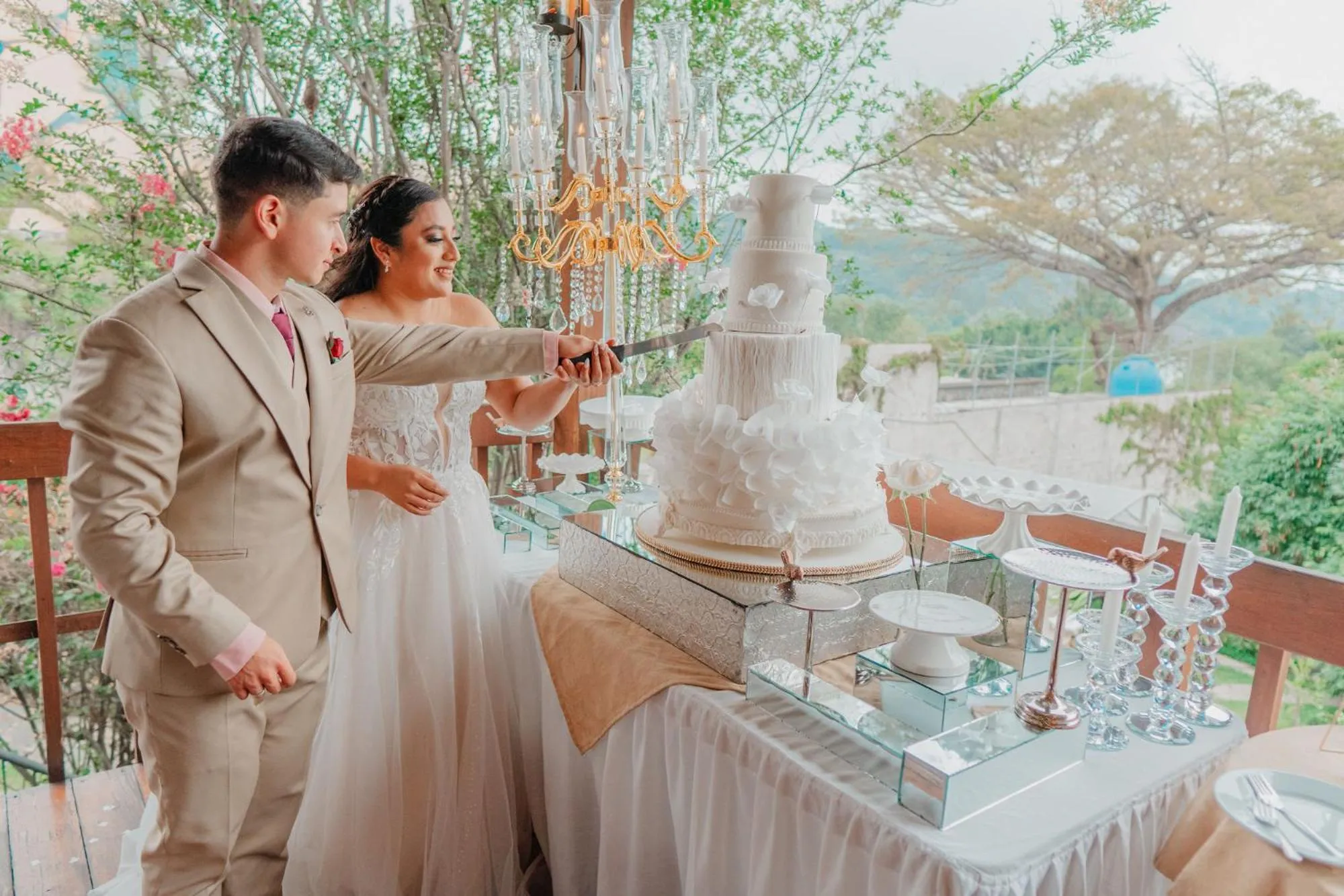 wedding in Hotel Toliman