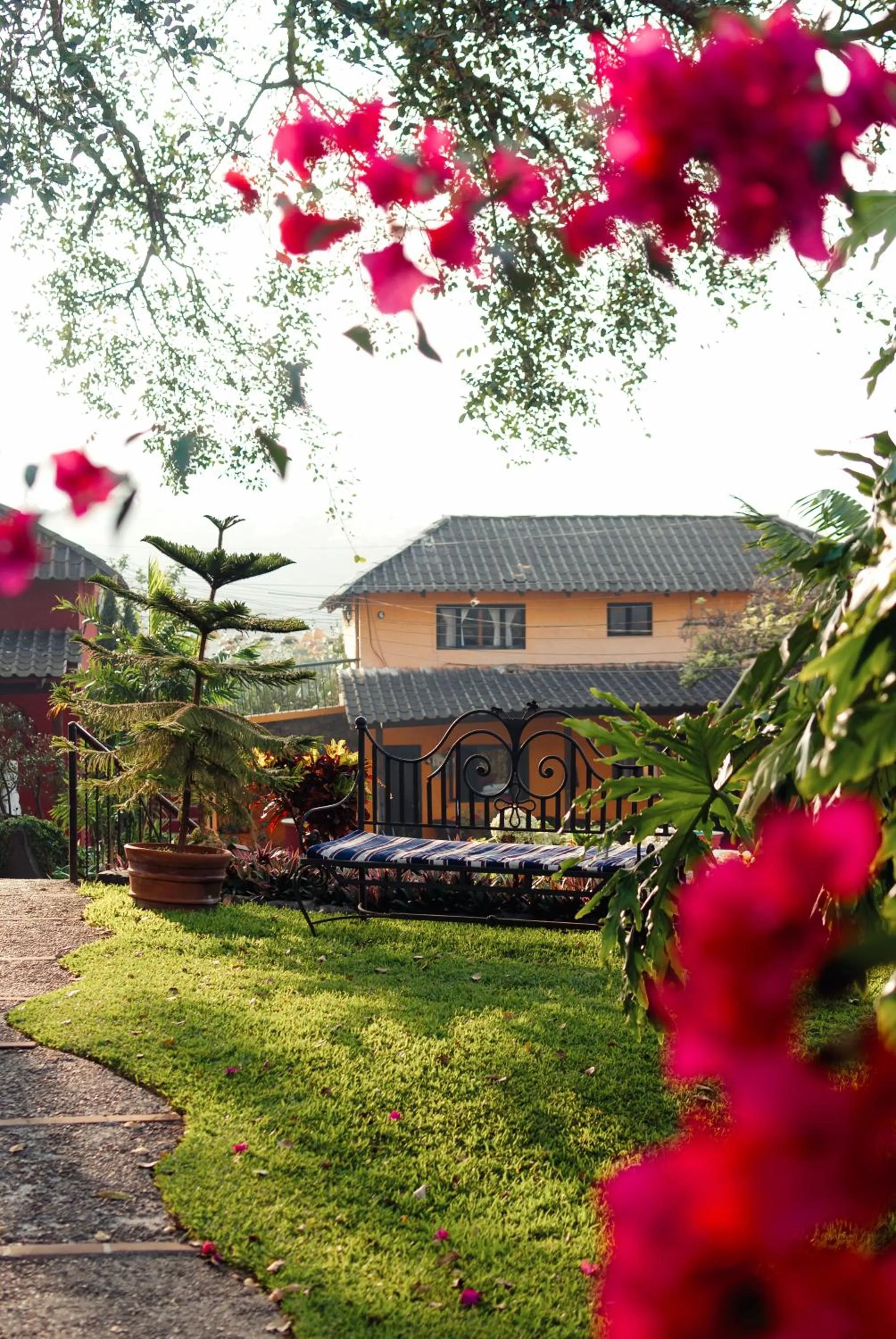 Patio in Hotel Toliman