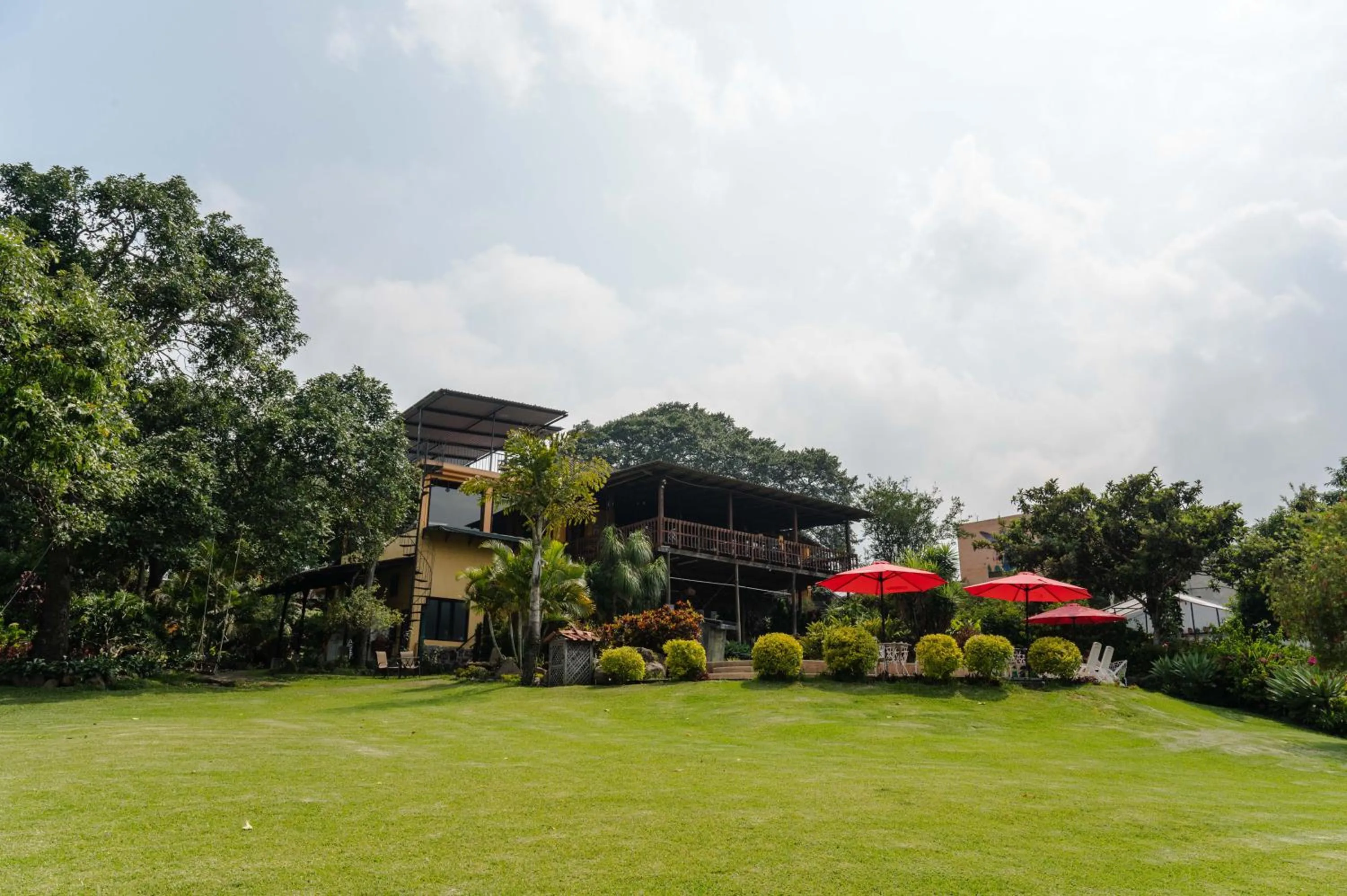 Garden in Hotel Toliman